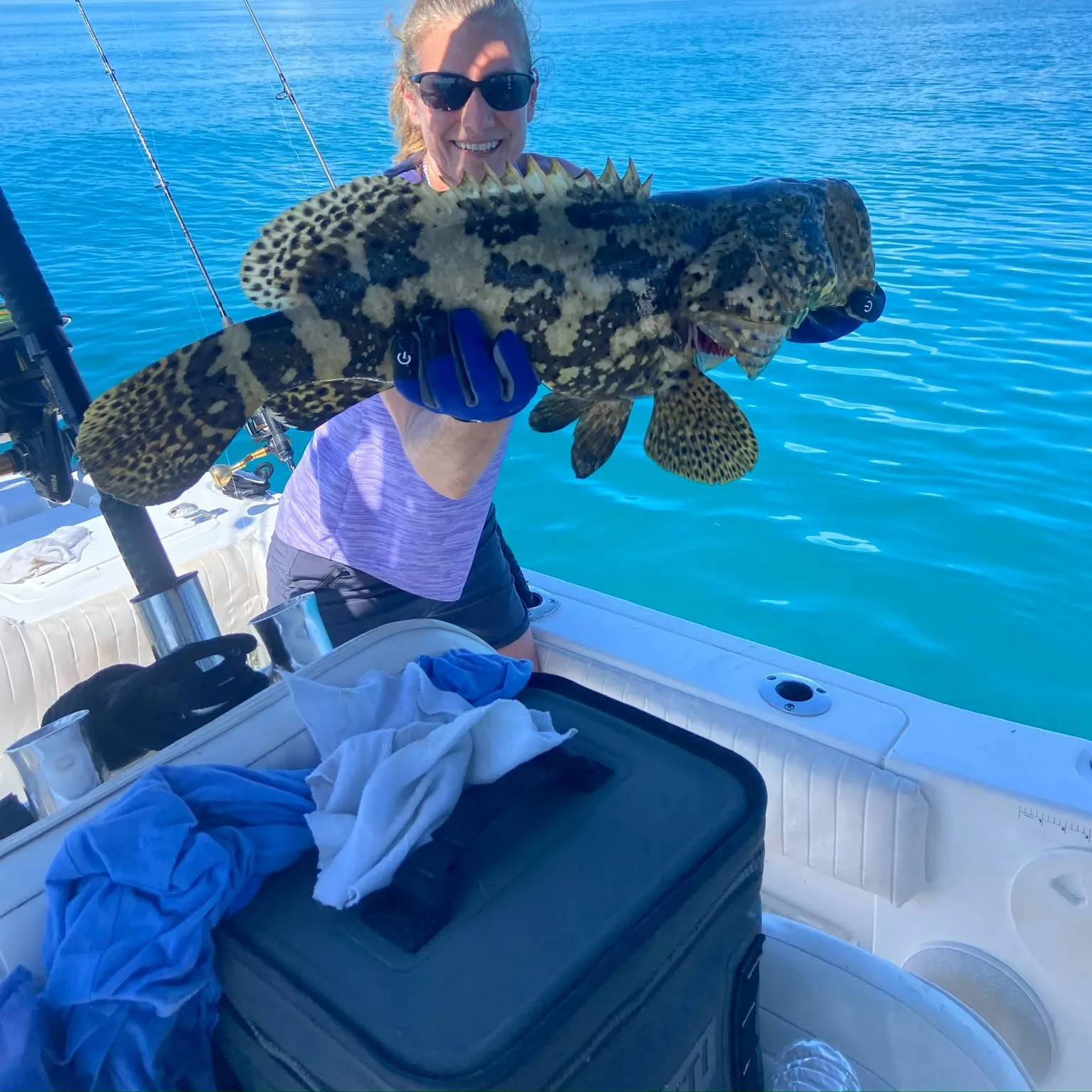 The most recent Brown-marbled grouper catches on Fishbrain