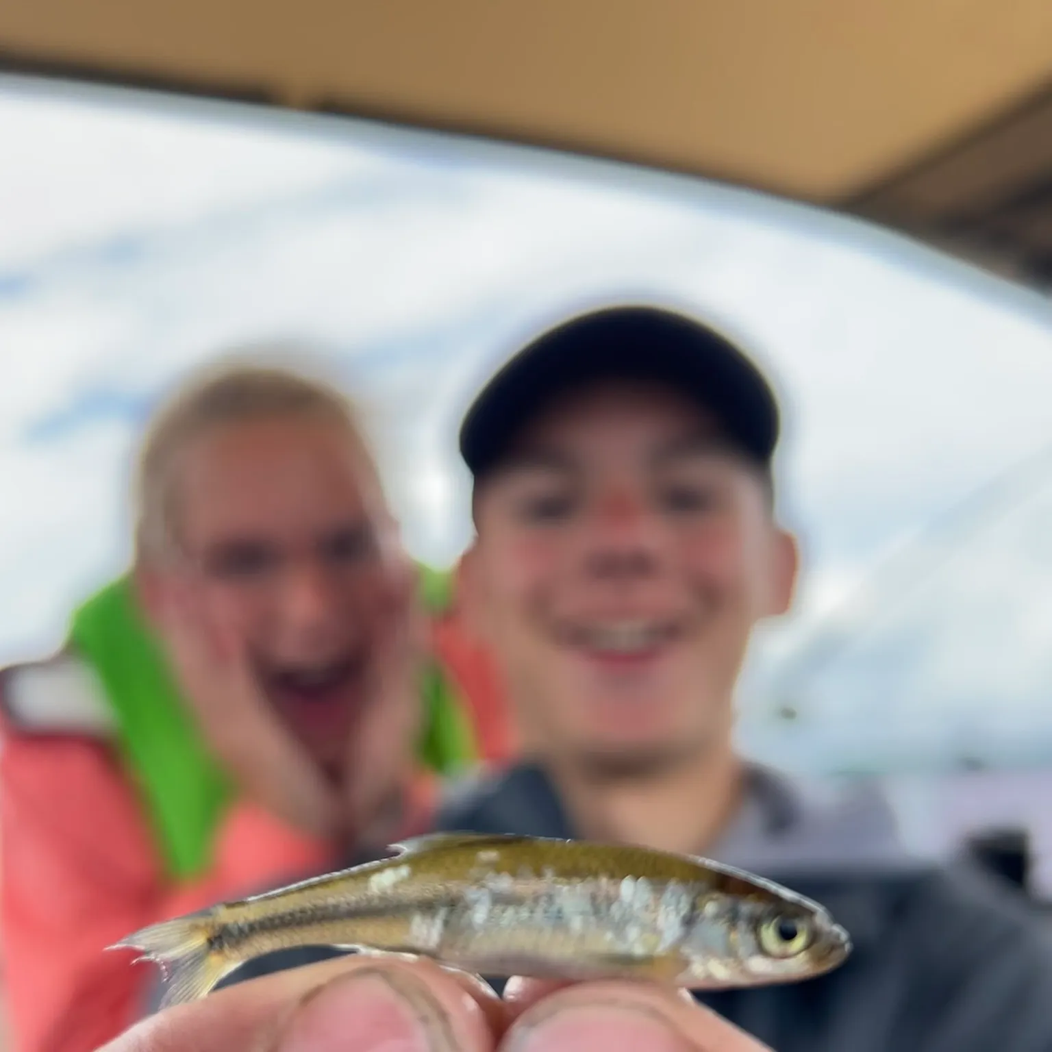 The most recent Blacknose shiner catches on Fishbrain