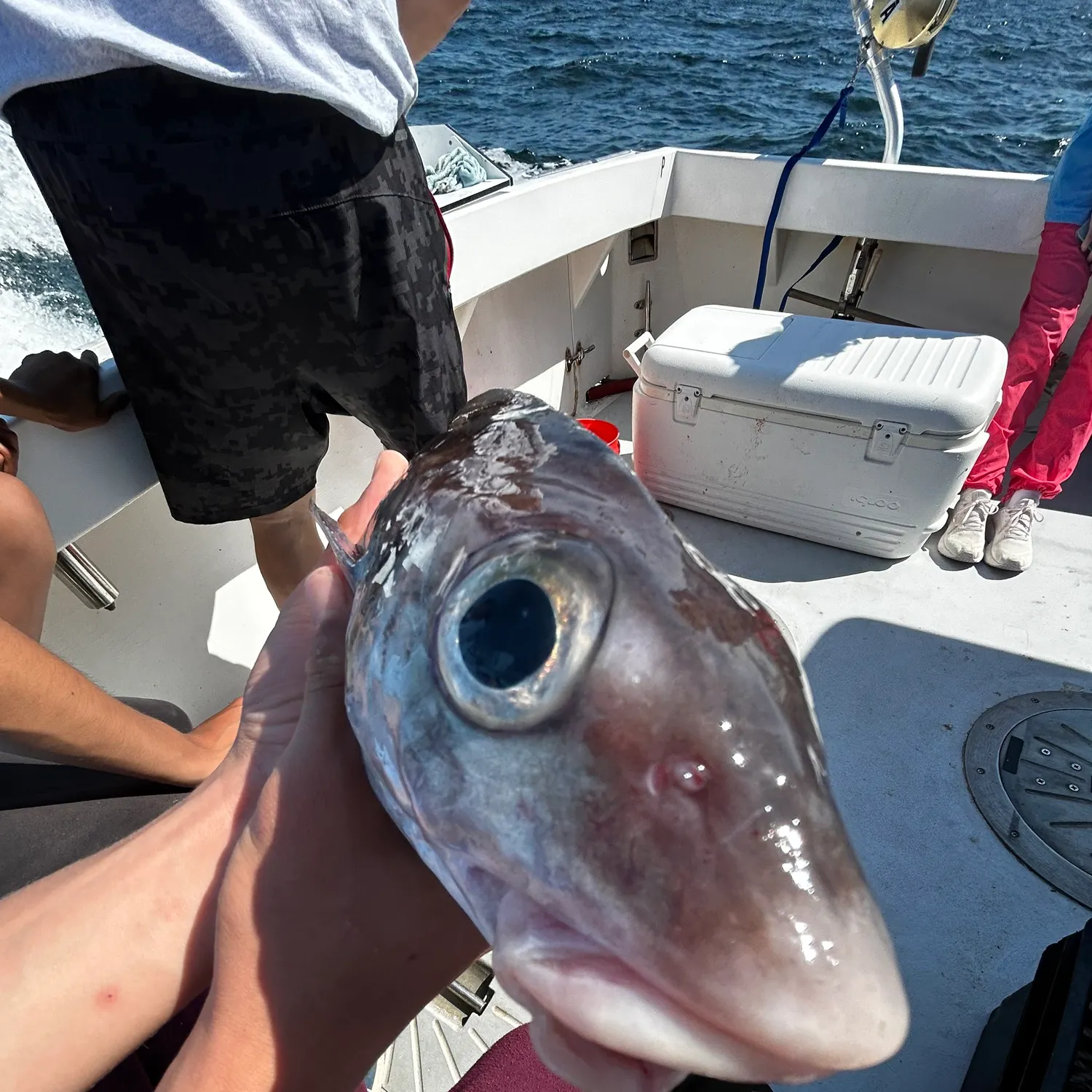 most liked catch image
