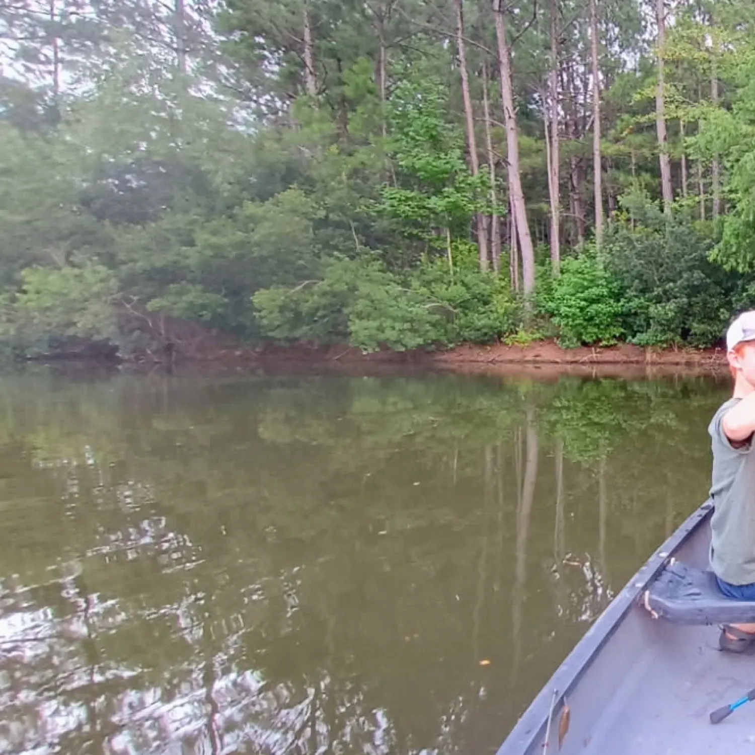 The most recent Ruddy bowfin catches on Fishbrain
