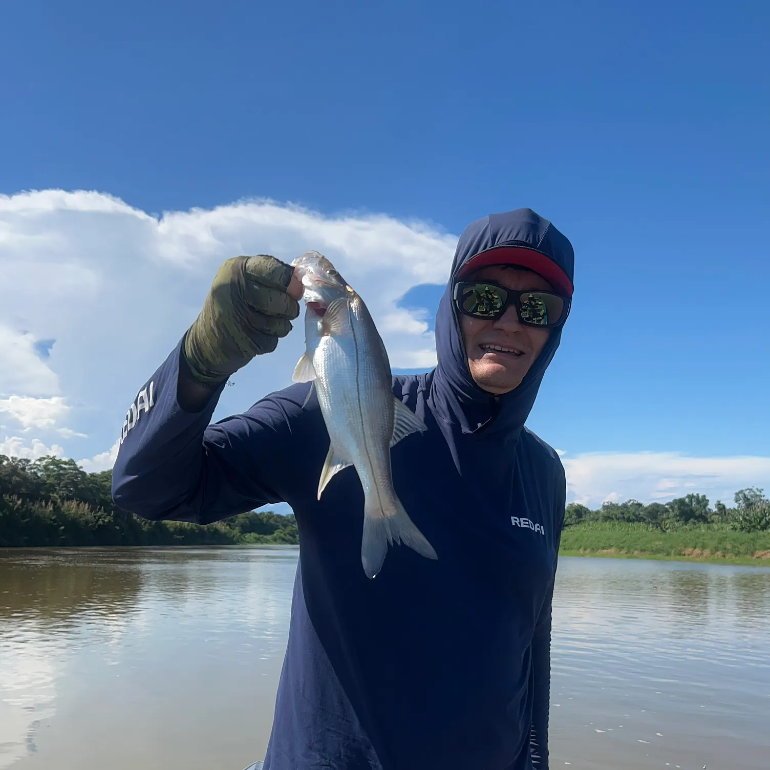 The most recent Fat snook catches on Fishbrain