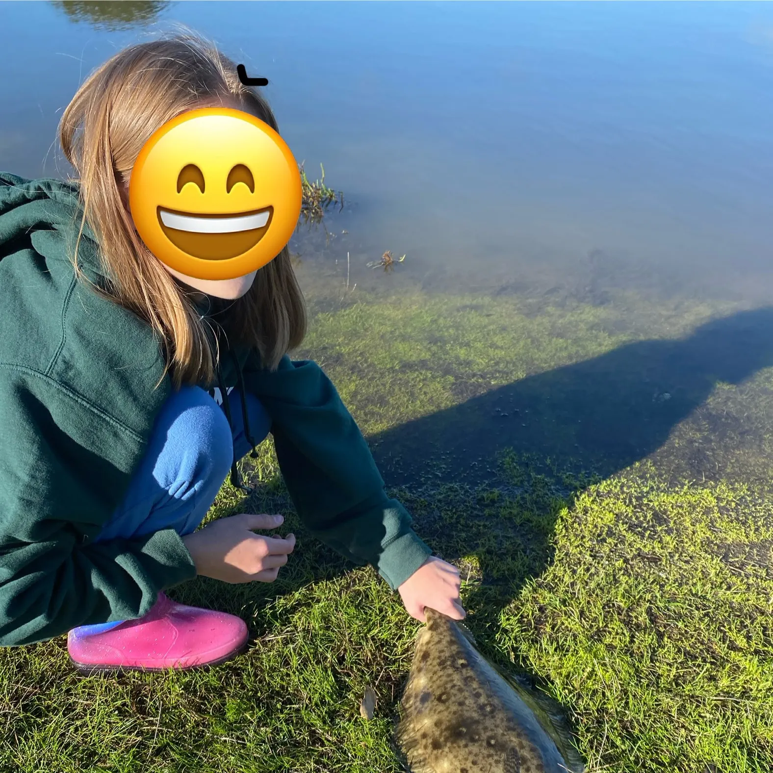 The most recent California halibut catches on Fishbrain