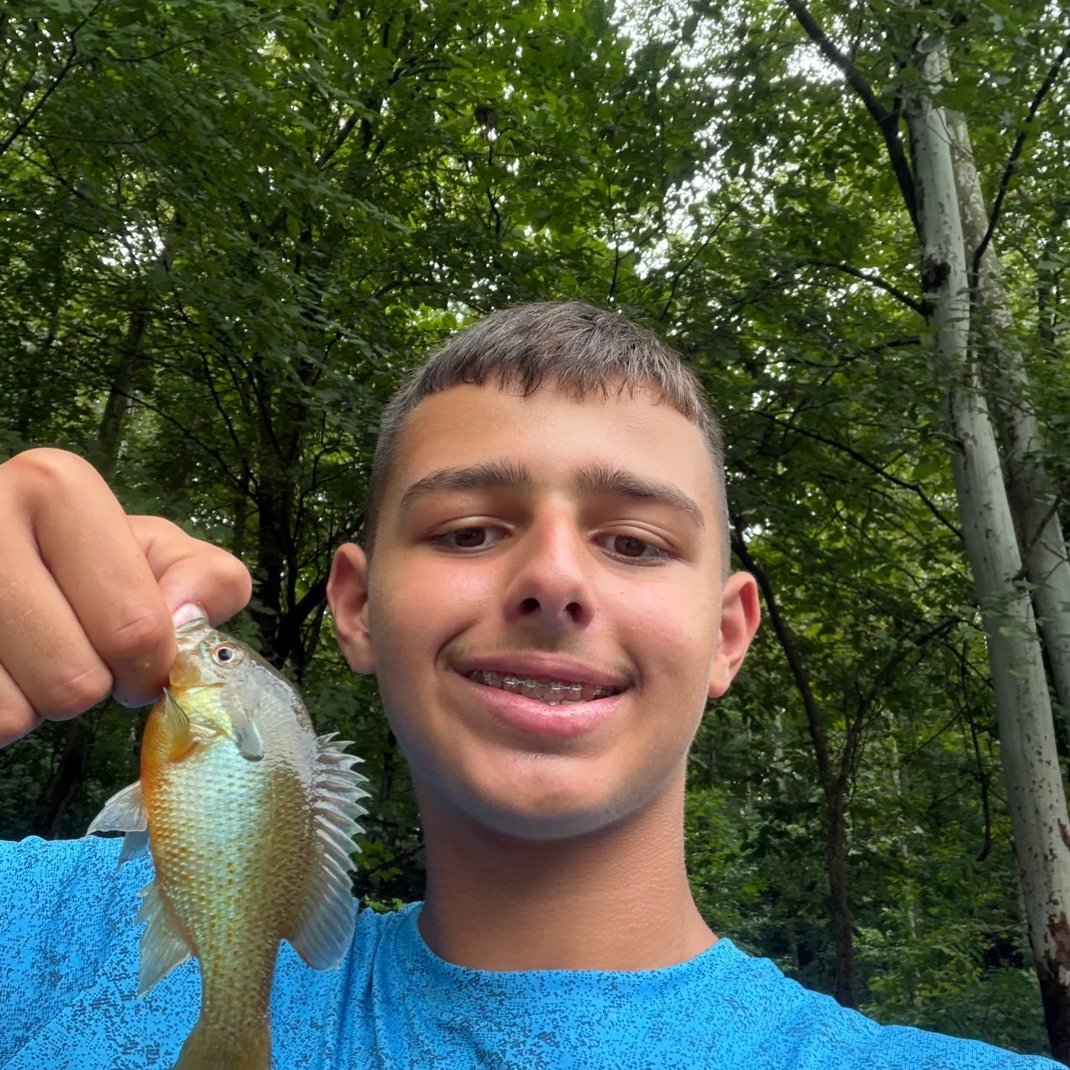 Redbreast sunfish caught on Fishbrain