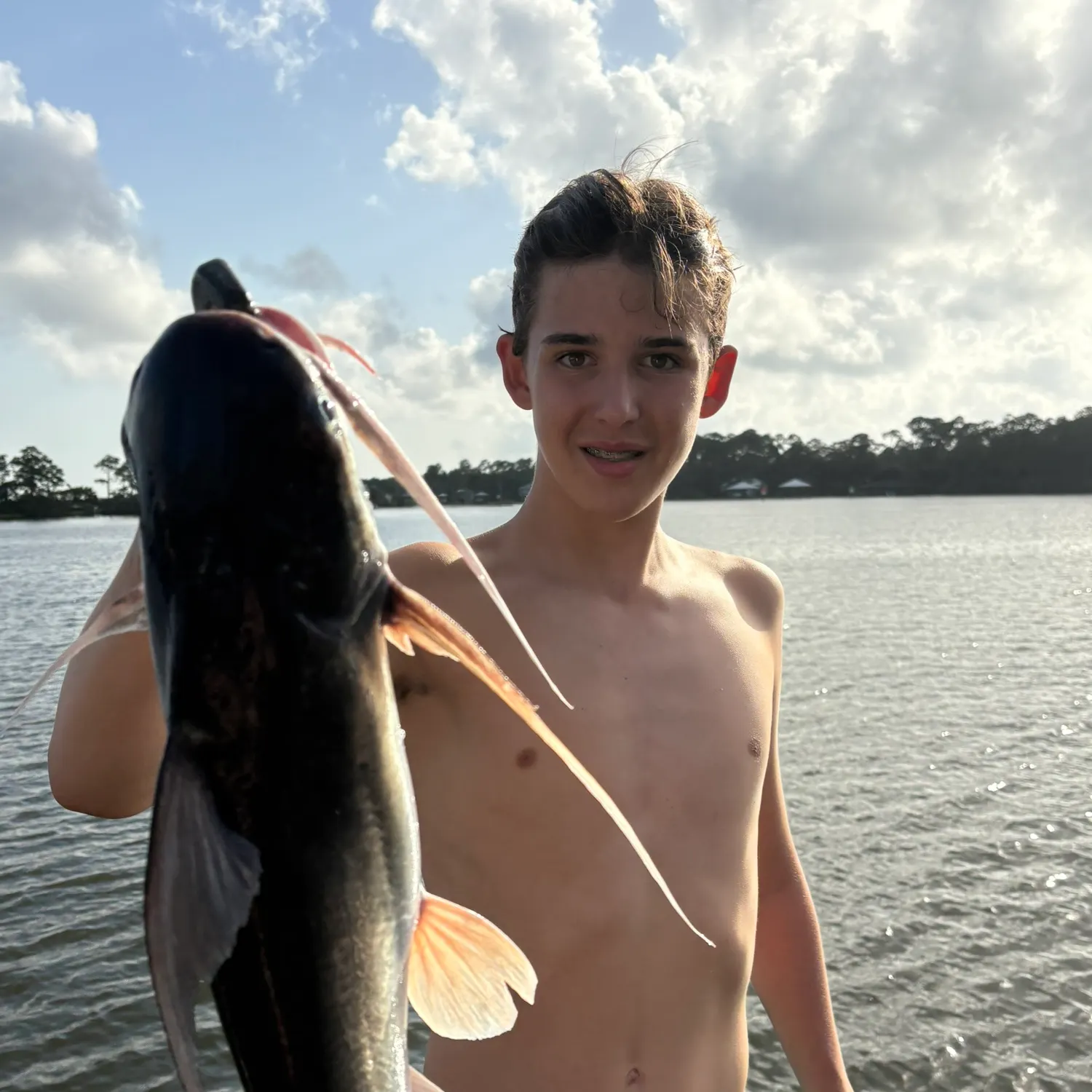 Gafftopsail sea catfish caught on Fishbrain
