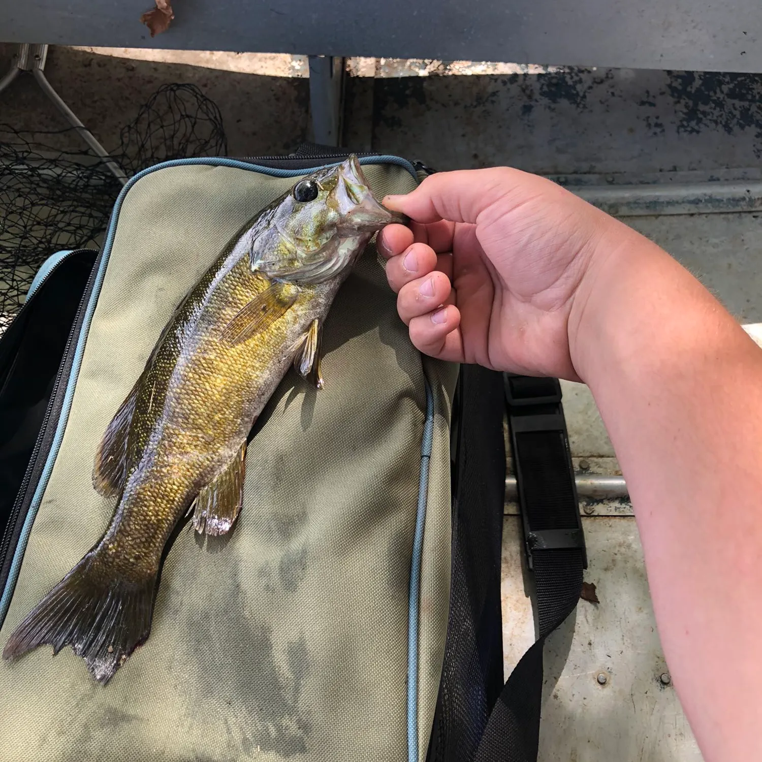 angler catch