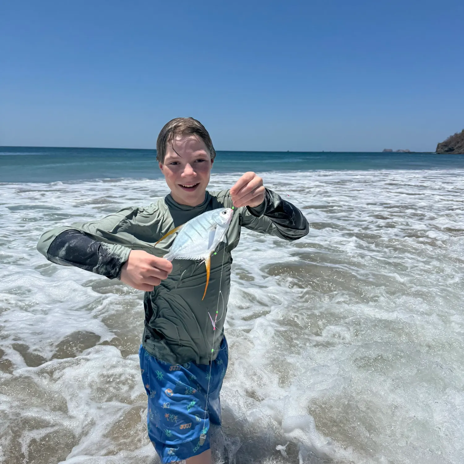 The most recent Largespotted dart catches on Fishbrain