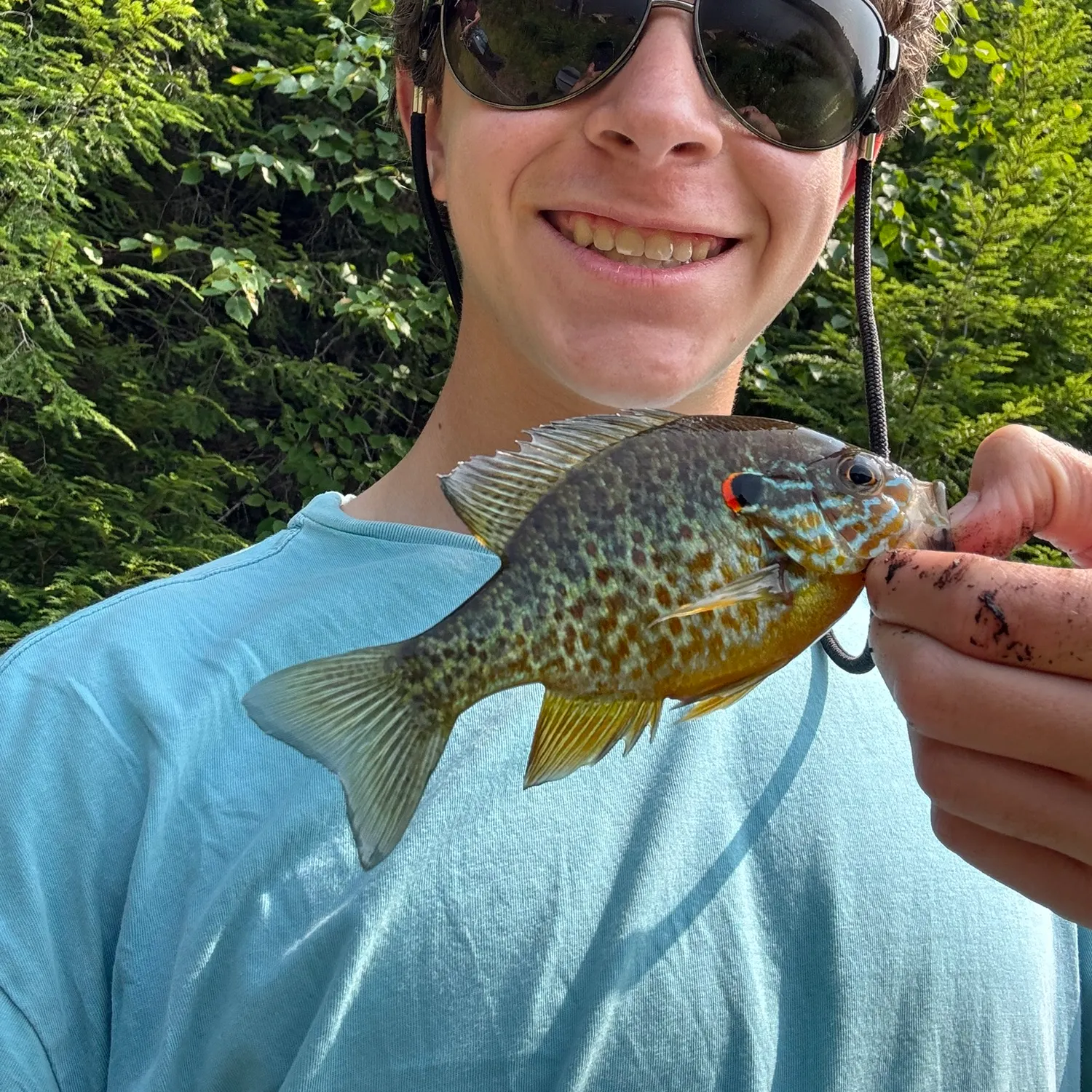 Pumpkinseed caught on Fishbrain