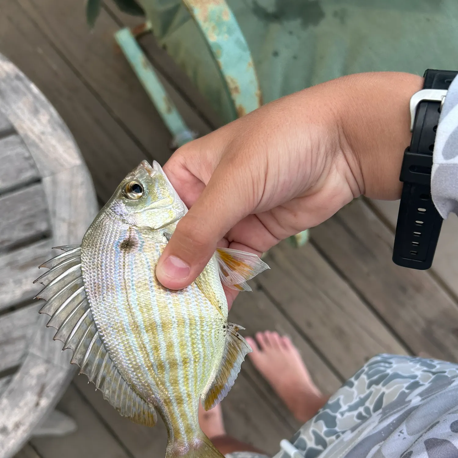 recently logged catches