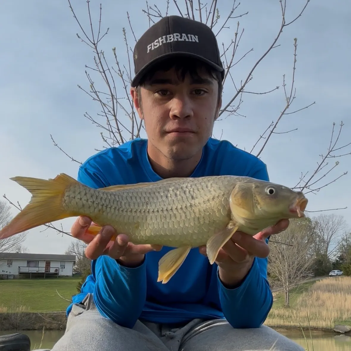 The most recent Ghost carp catches on Fishbrain