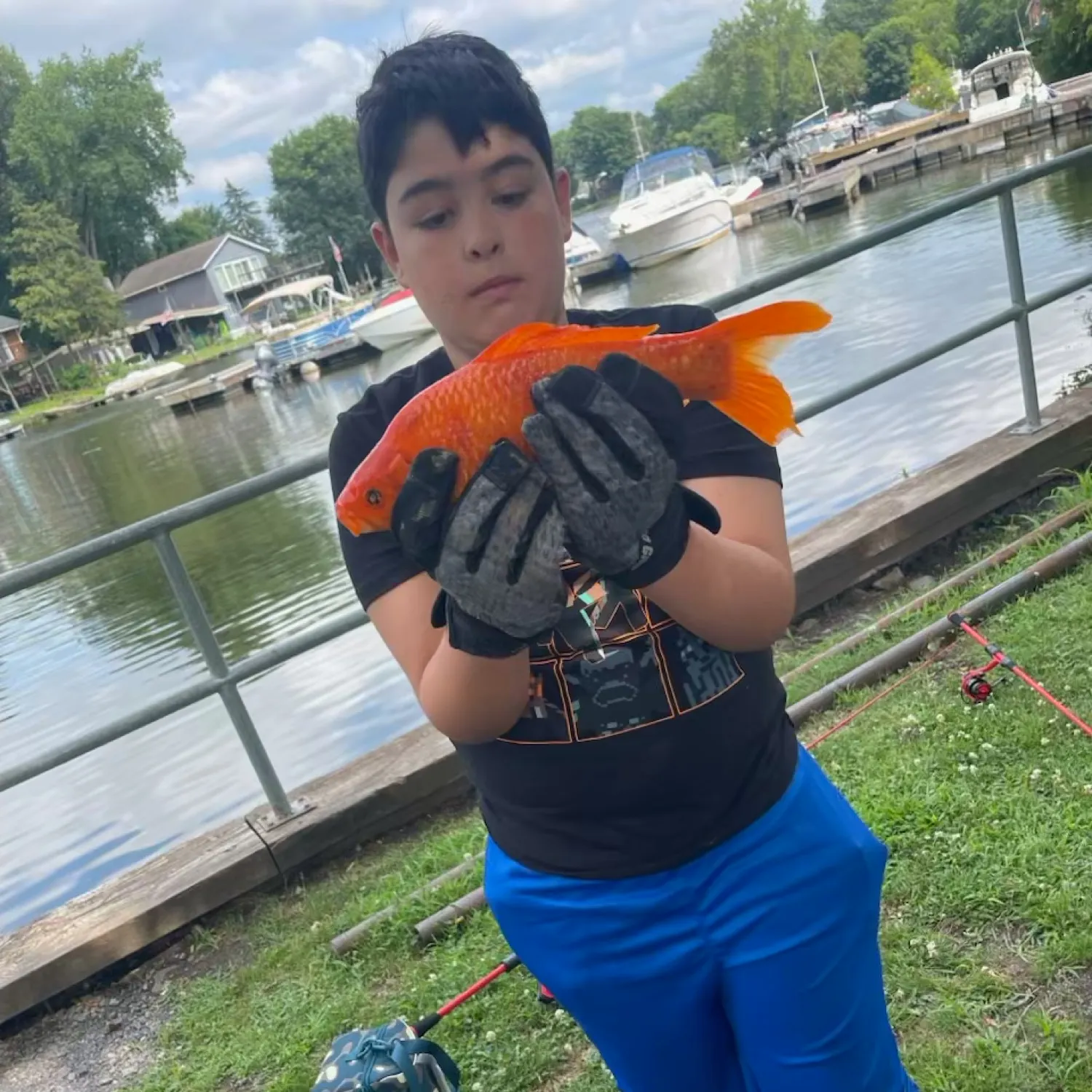 The most recent Goldfish catches on Fishbrain