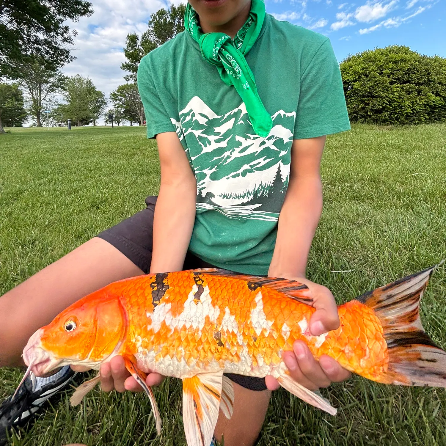 most liked catch image