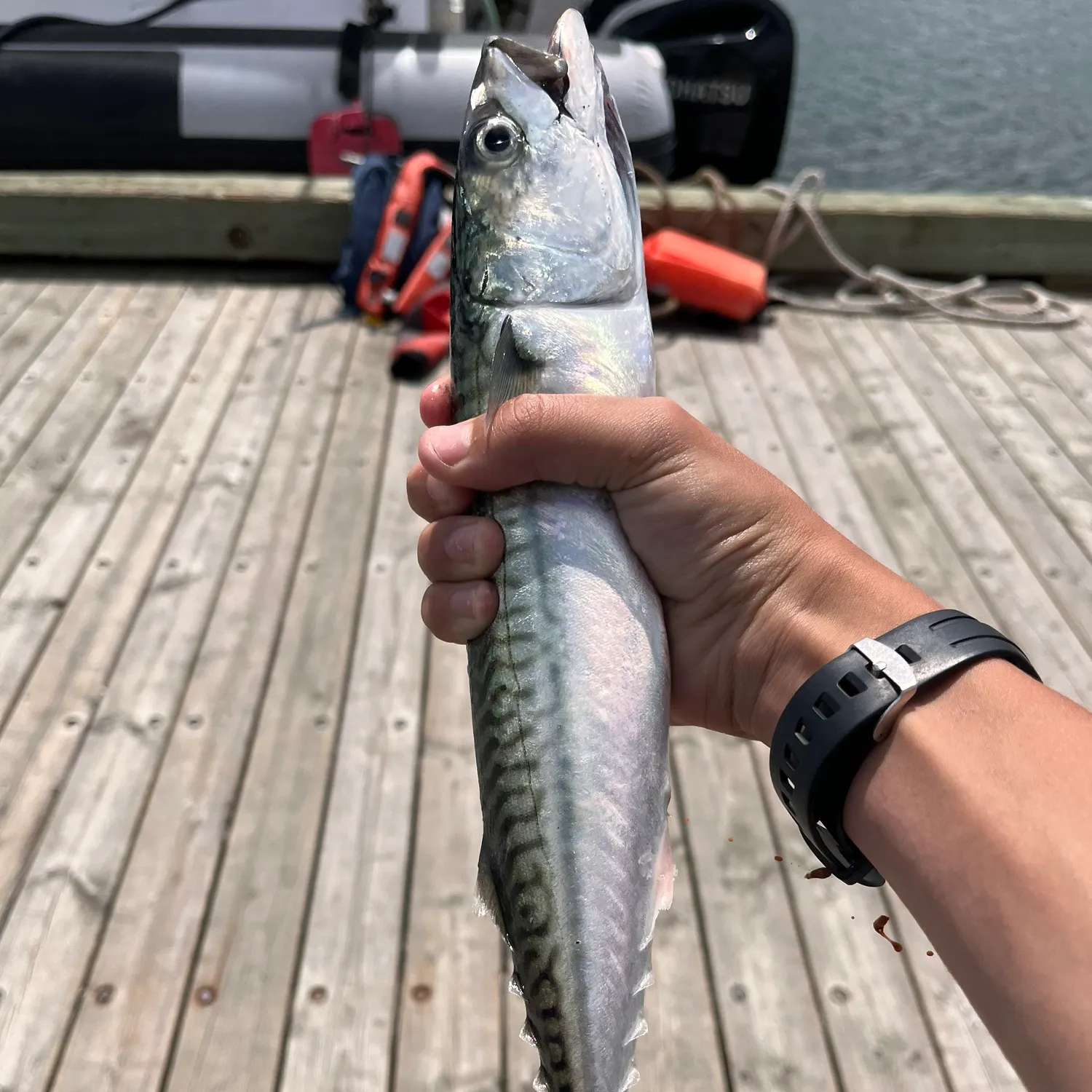 catch