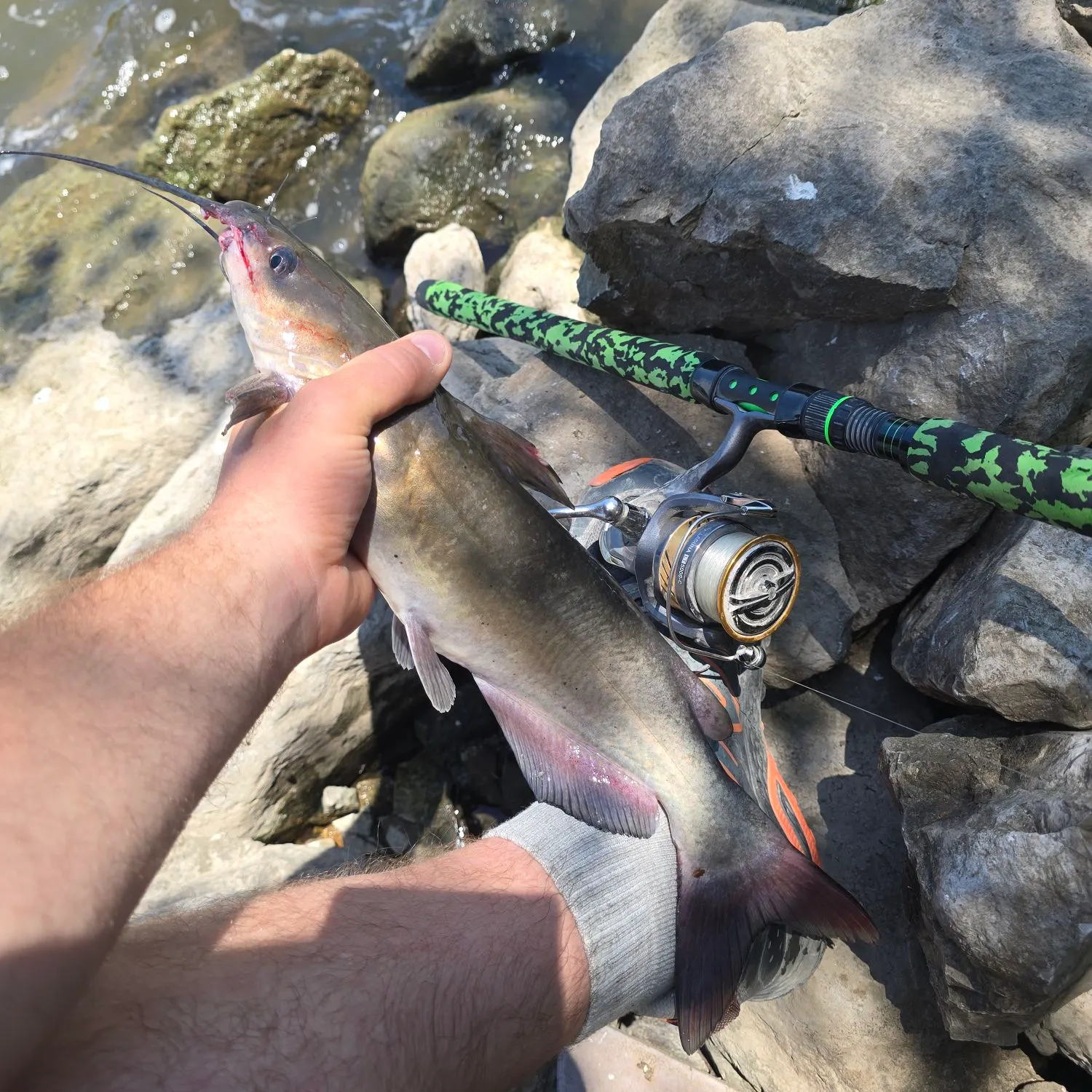 catch