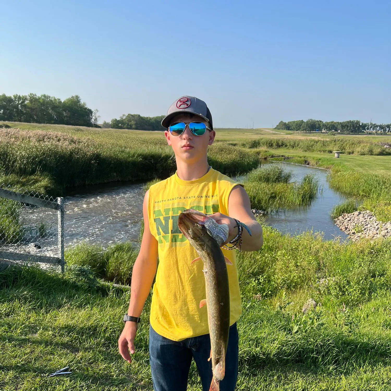 Northern pike caught on Fishbrain