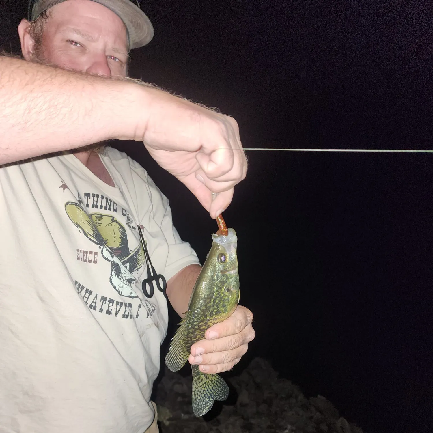 Black crappie caught on Fishbrain