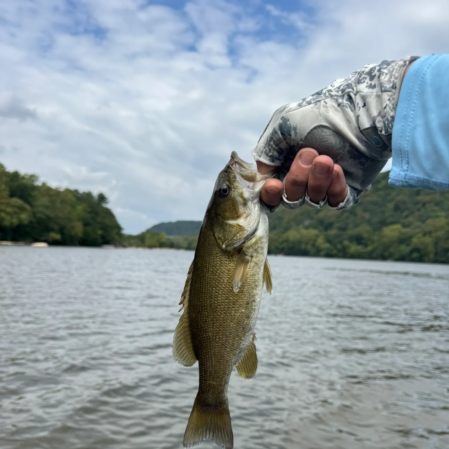 Smallmouth bass caught on Fishbrain