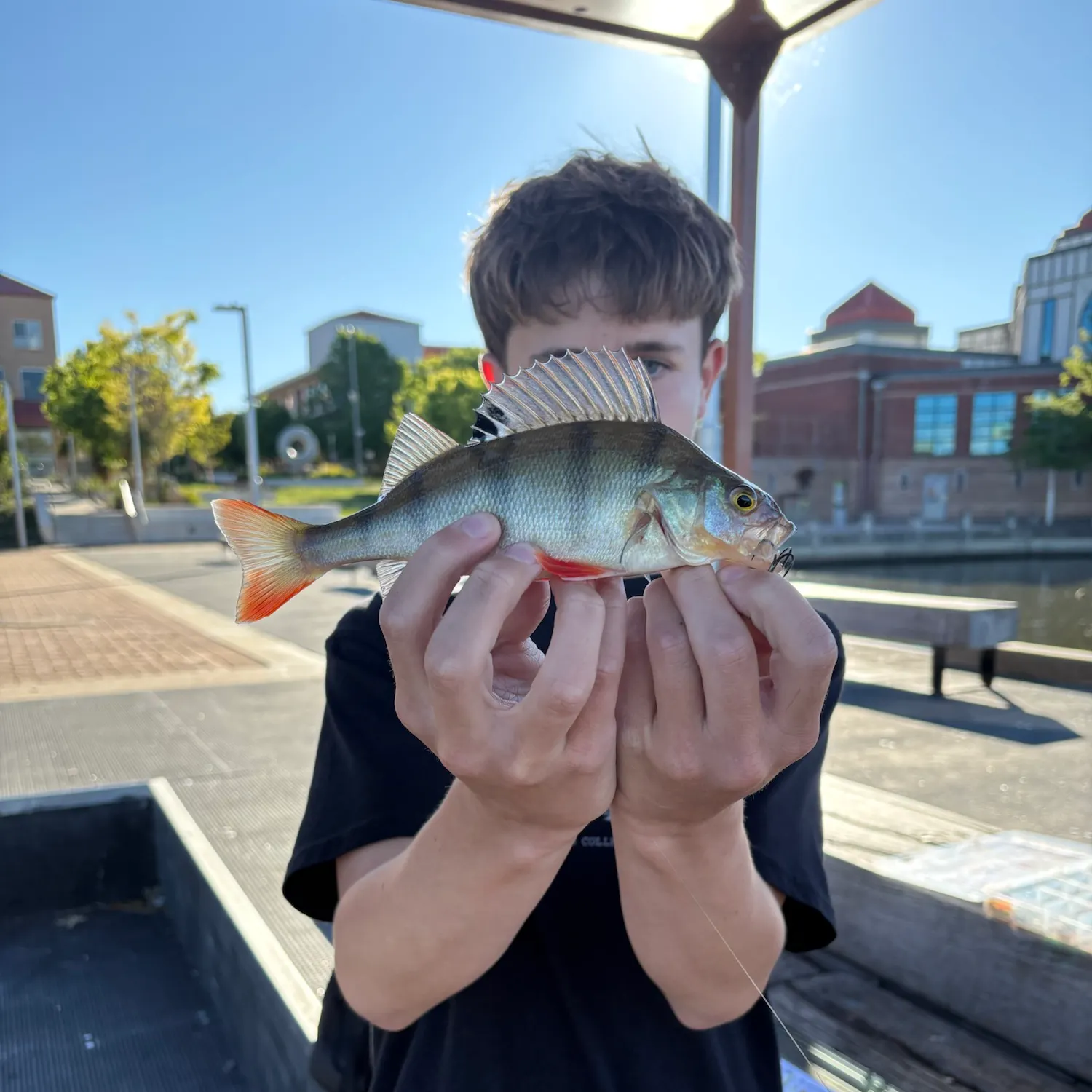 catch