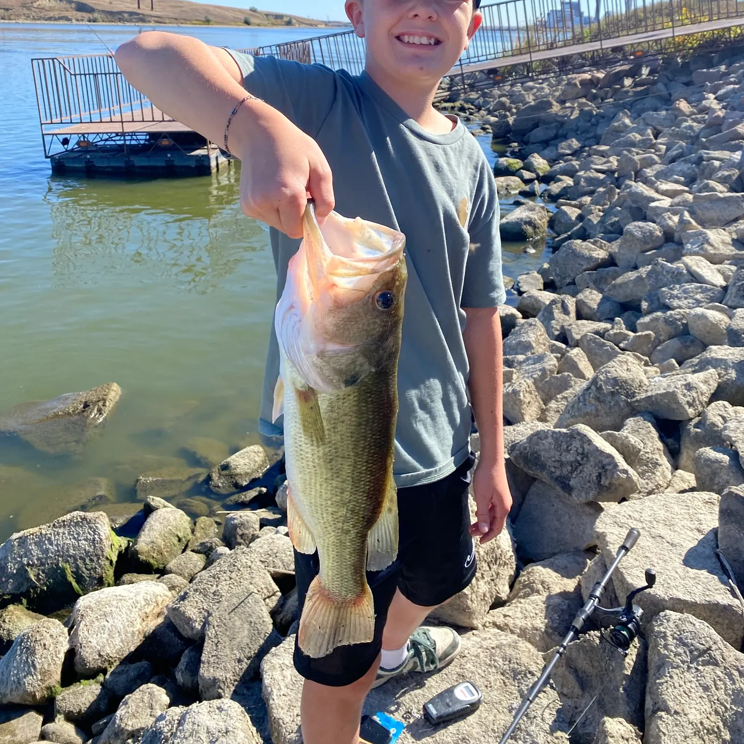 Largemouth bass caught on Fishbrain