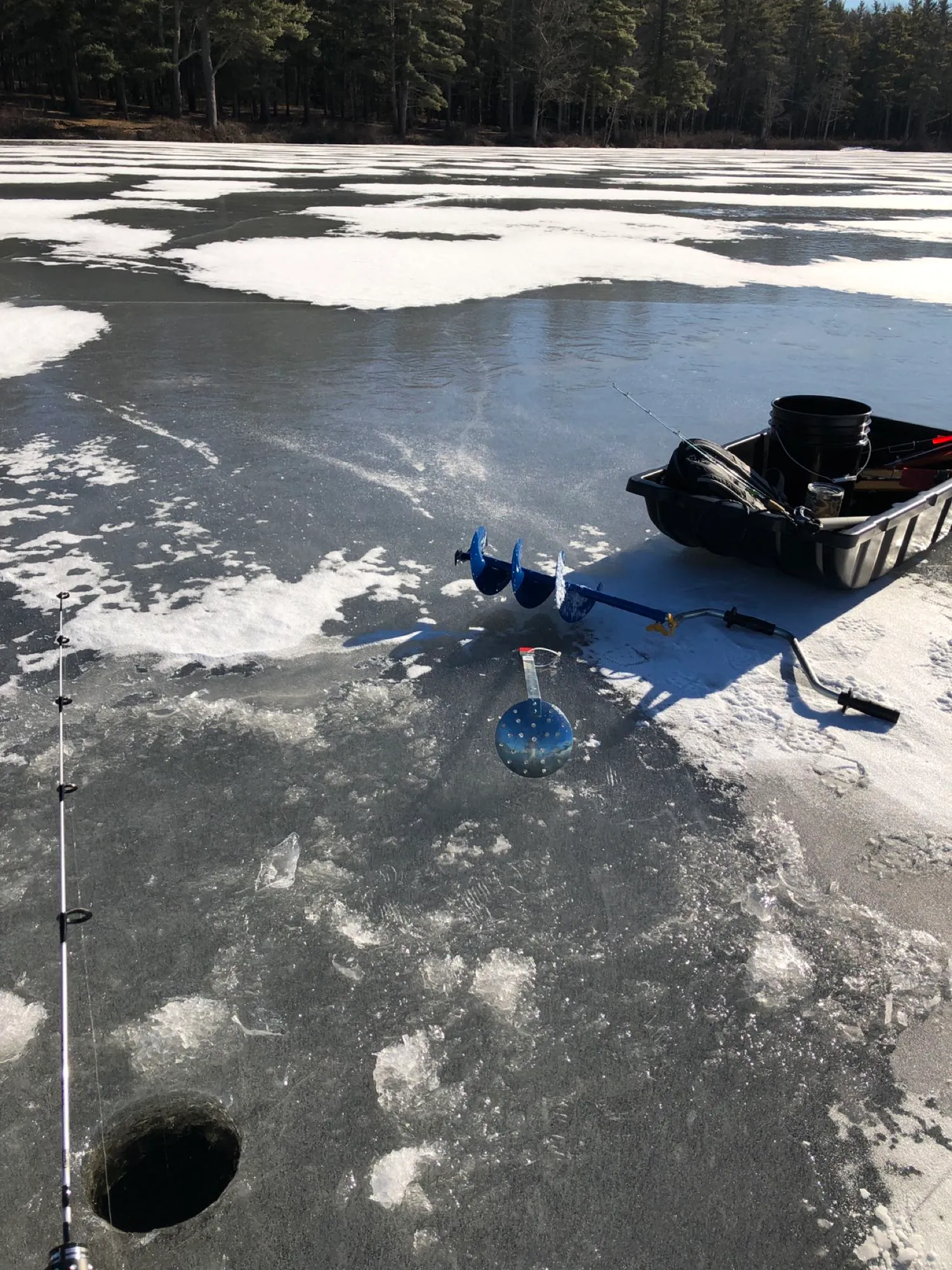 Post image from CARPYCLIFF