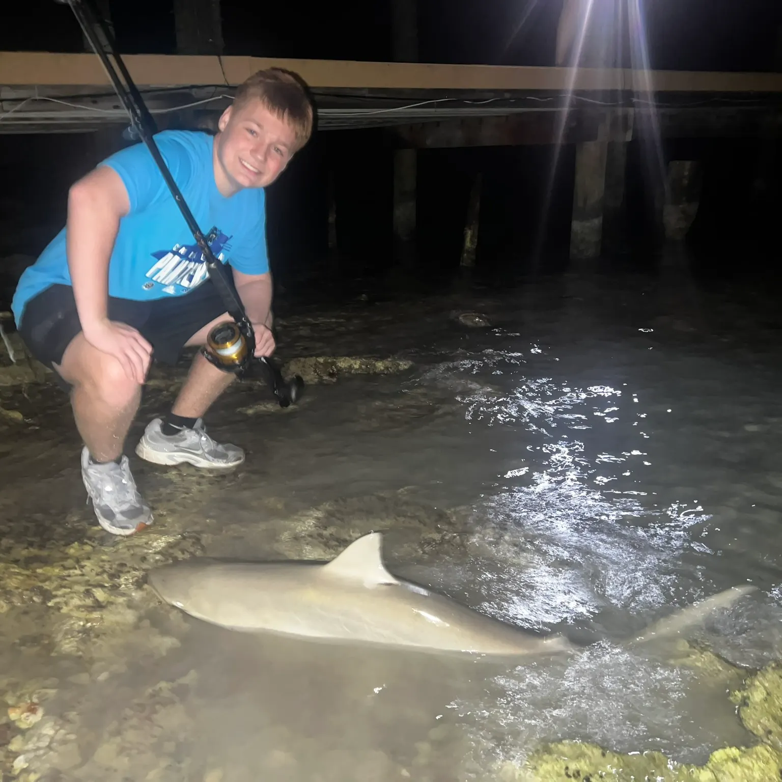 The most recent Blacknose shark catches on Fishbrain