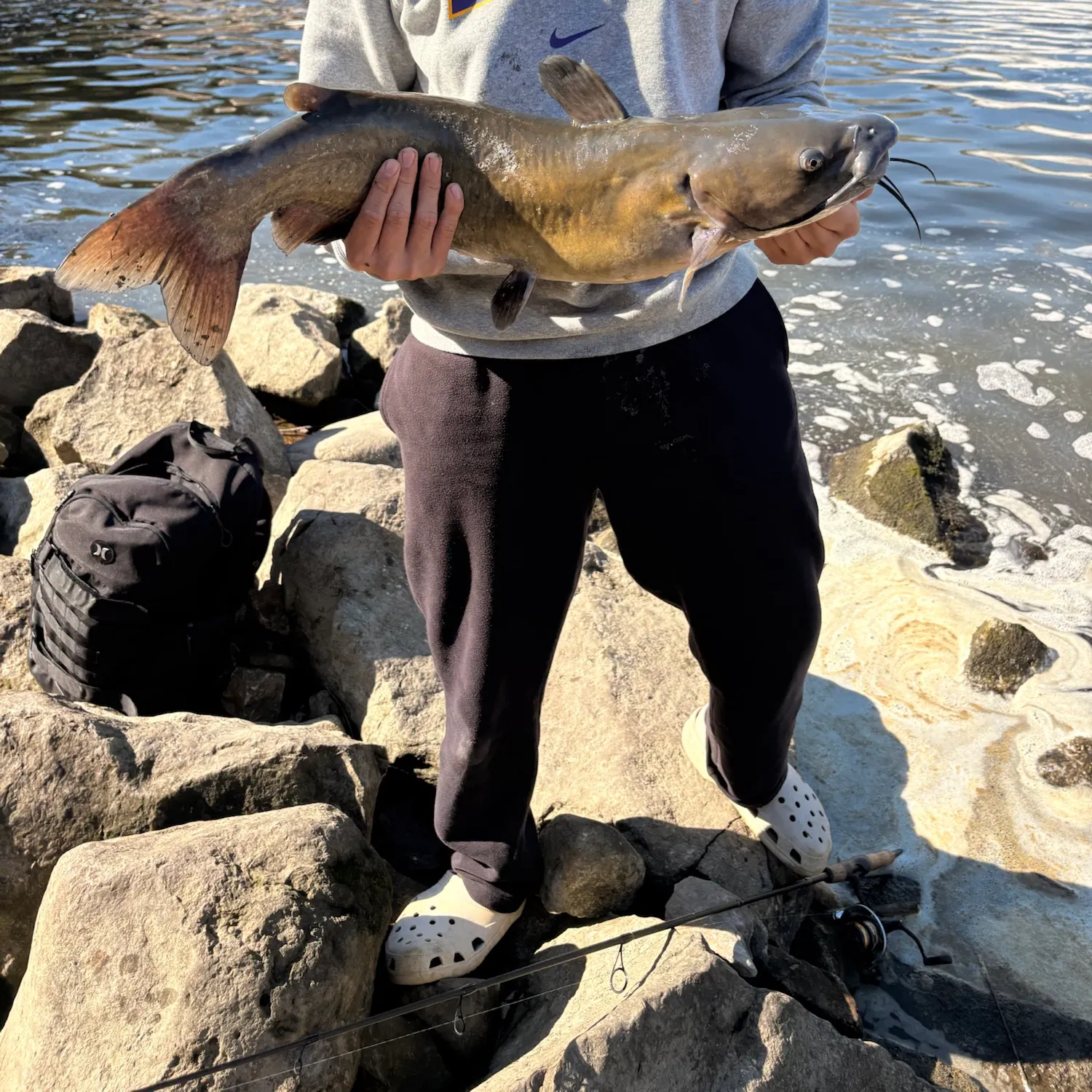 Channel catfish caught on Fishbrain