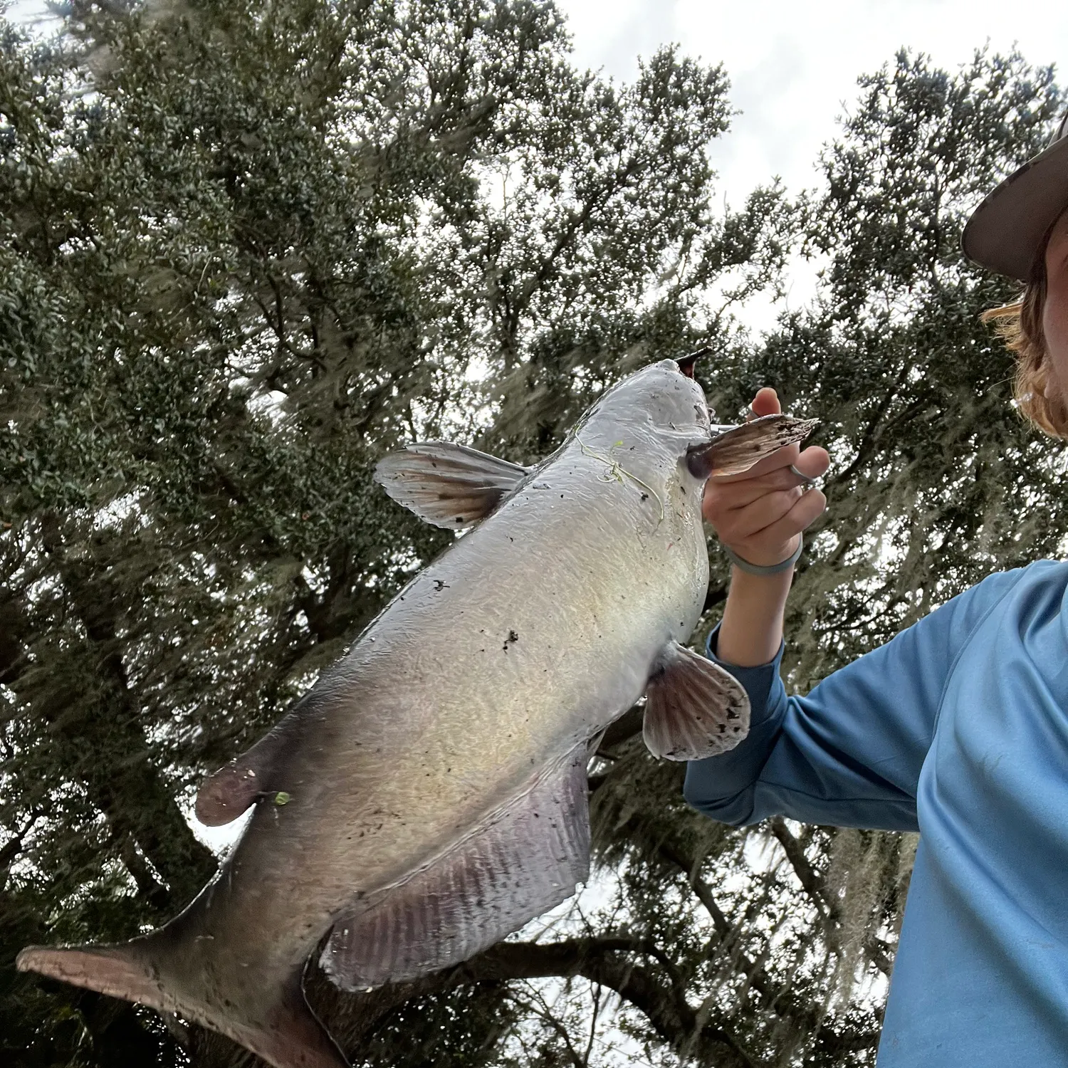 The most recent Channel catfish catches on Fishbrain