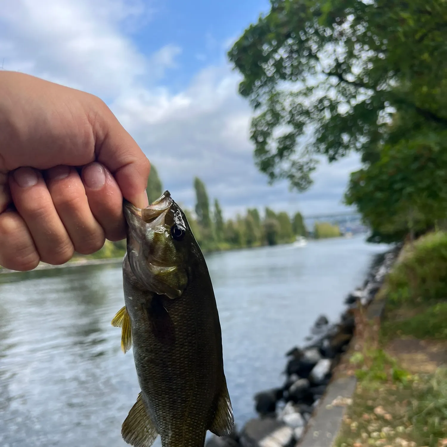 catch