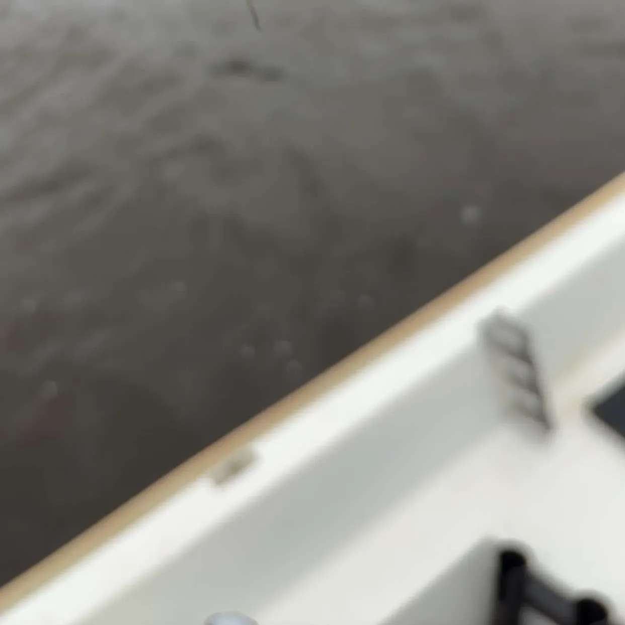 The most recent Common bleak catches on Fishbrain