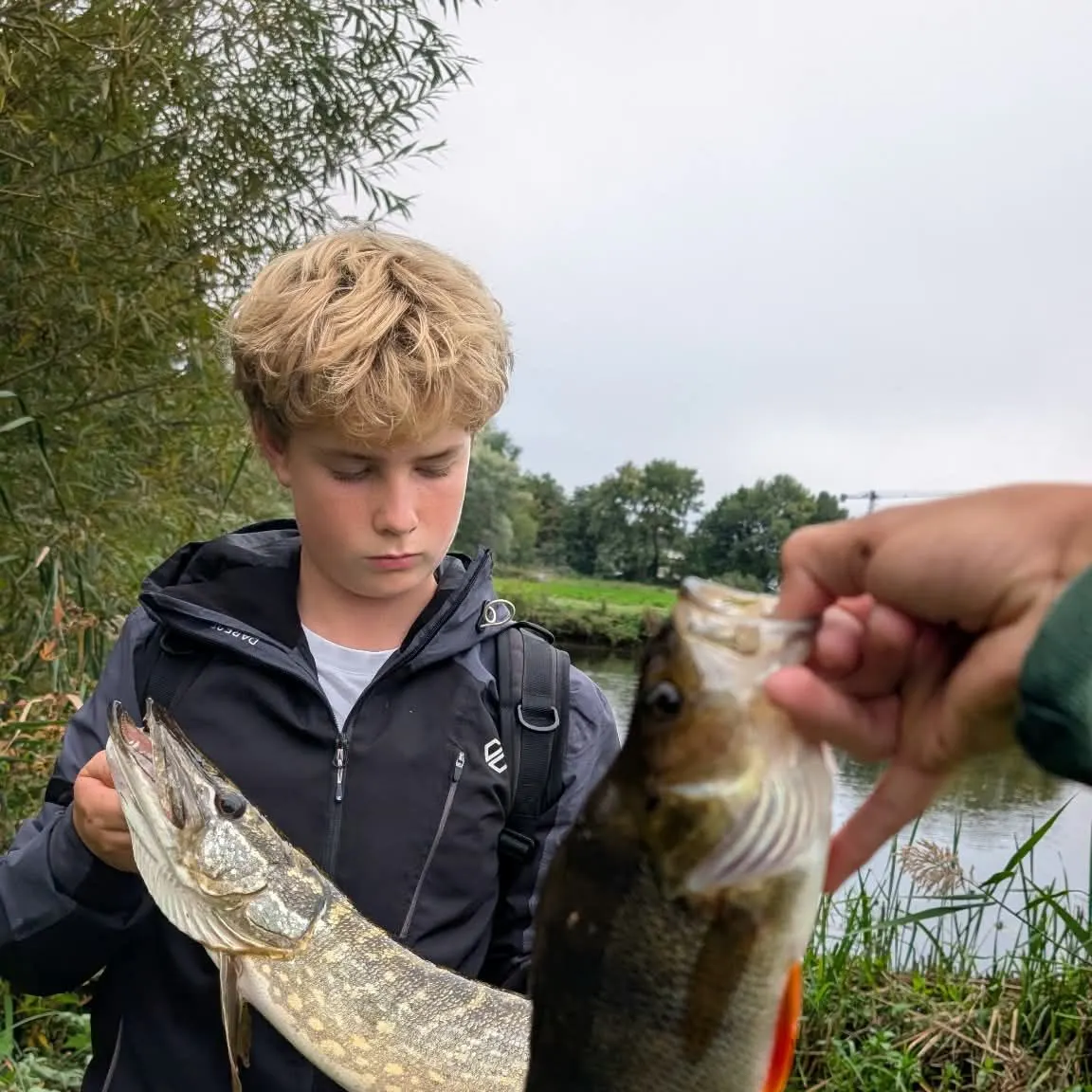 Fish caught on Fishbrain