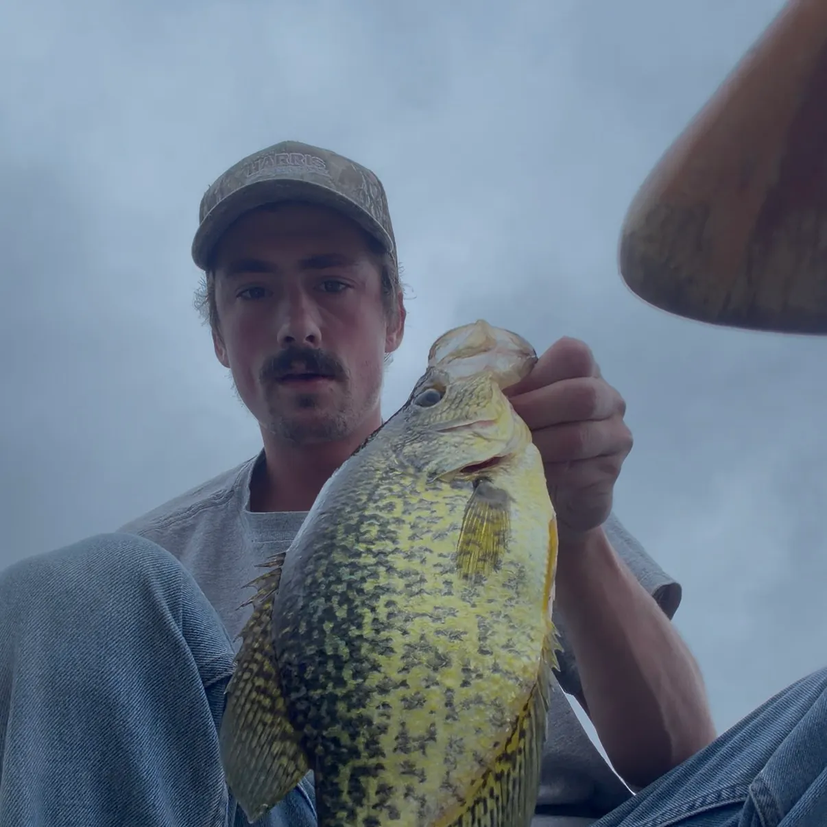 Black crappie caught on Fishbrain