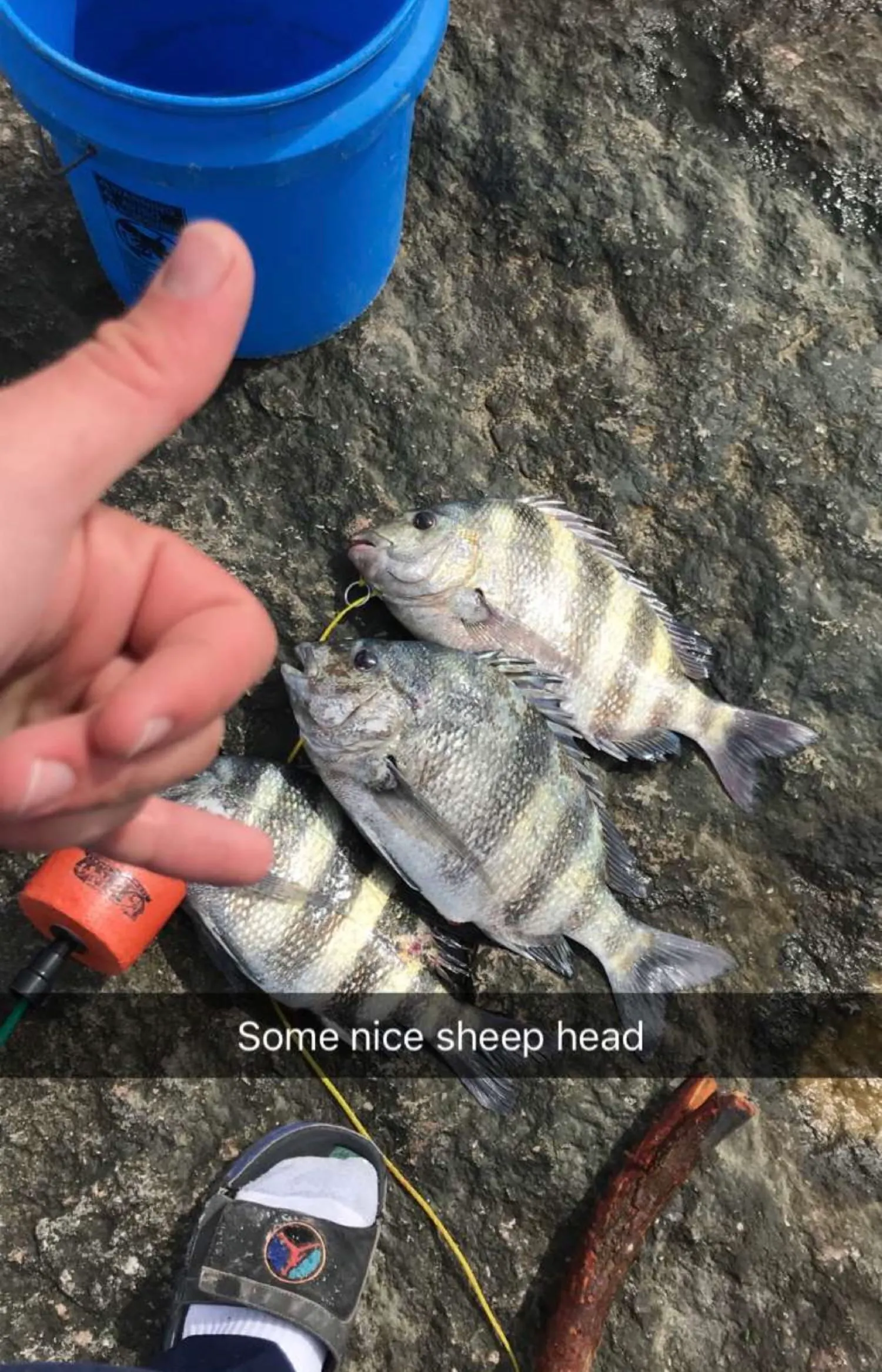 Post image from obetancourt6709