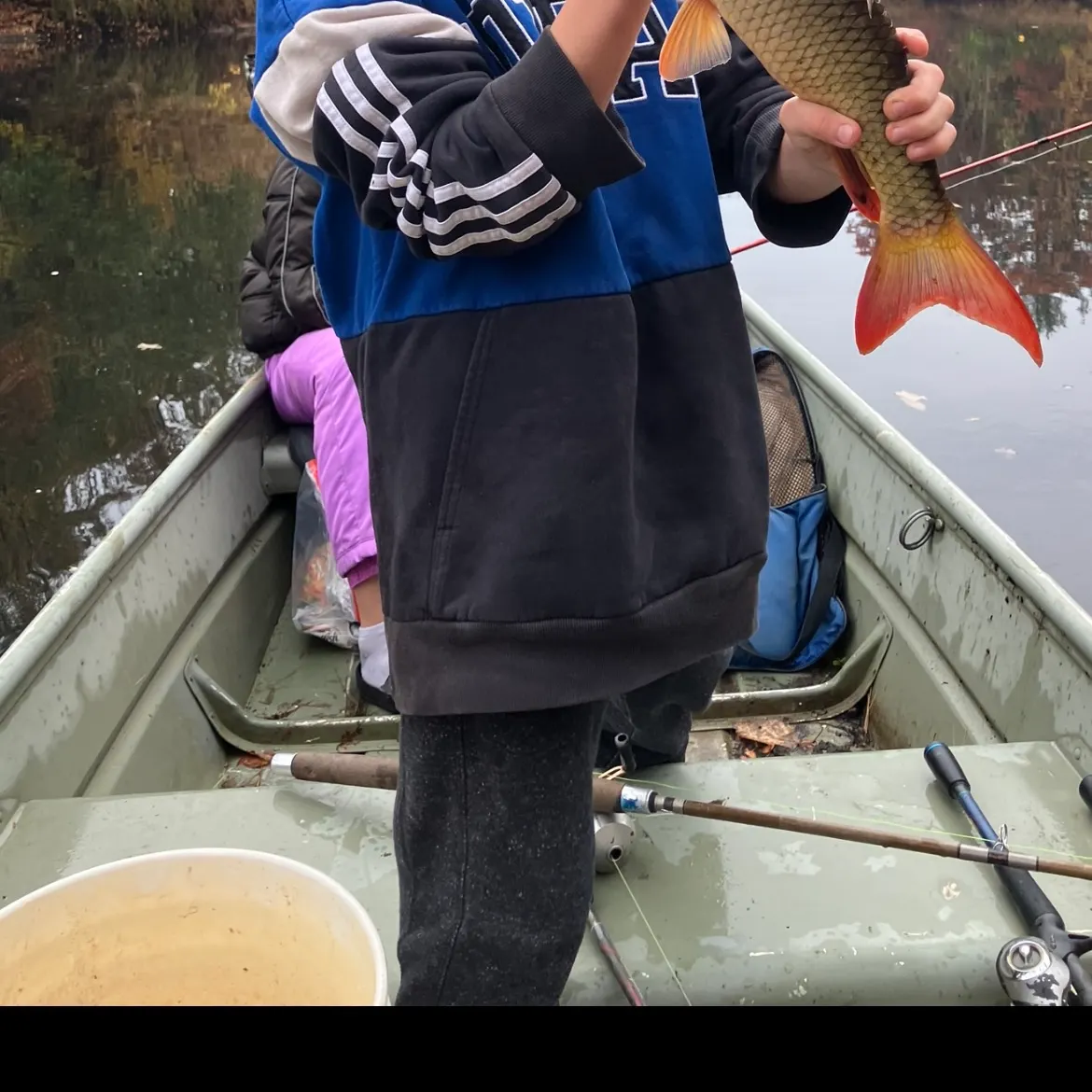 The most recent Smallmouth redhorse catches on Fishbrain