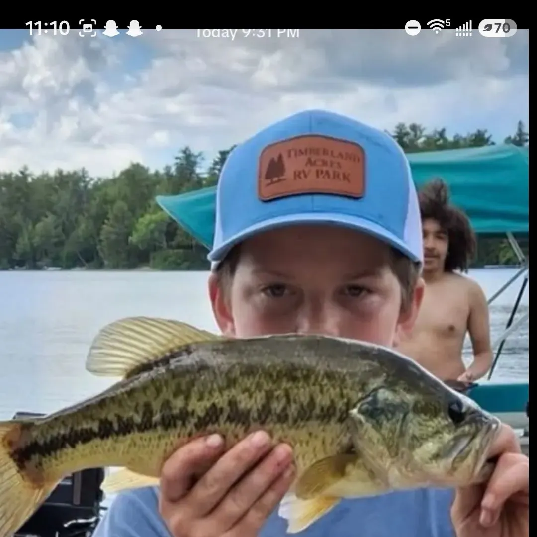 Largemouth bass caught on Fishbrain