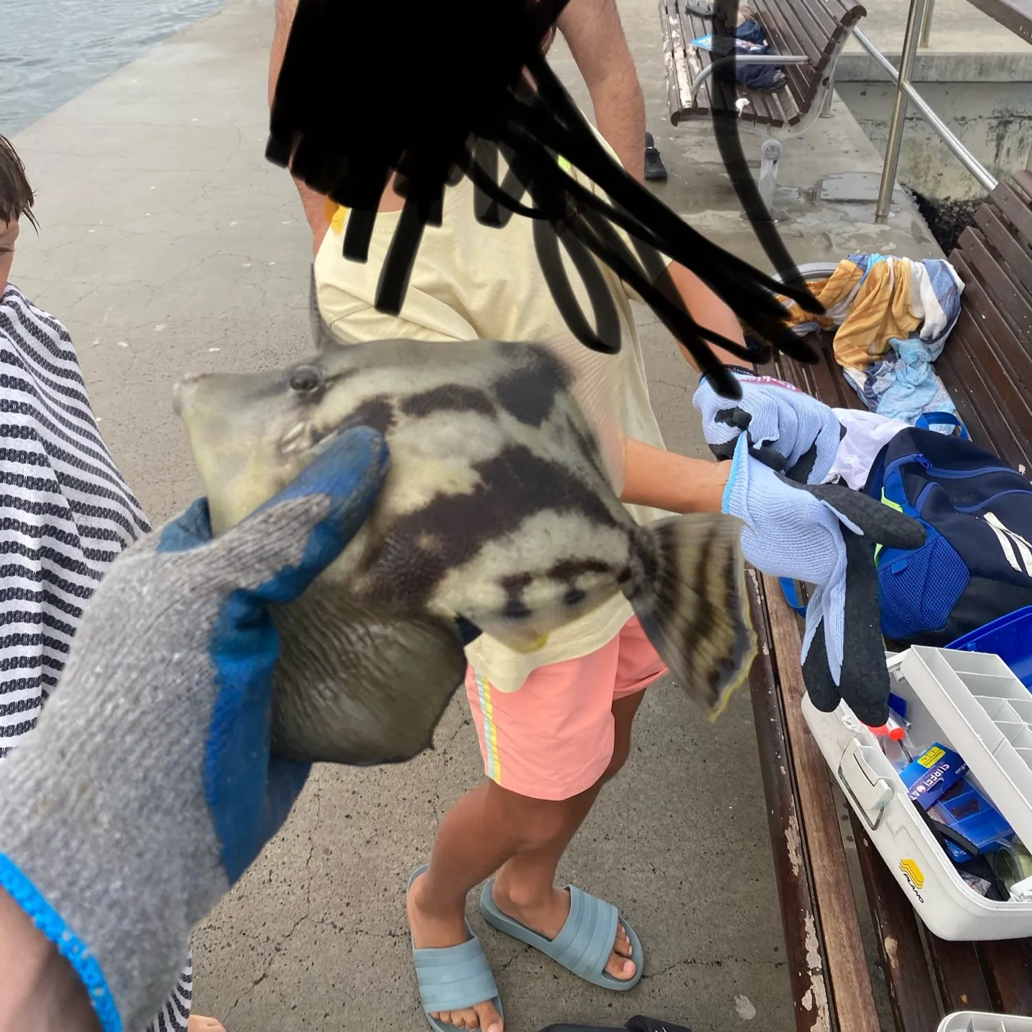 most liked catch image