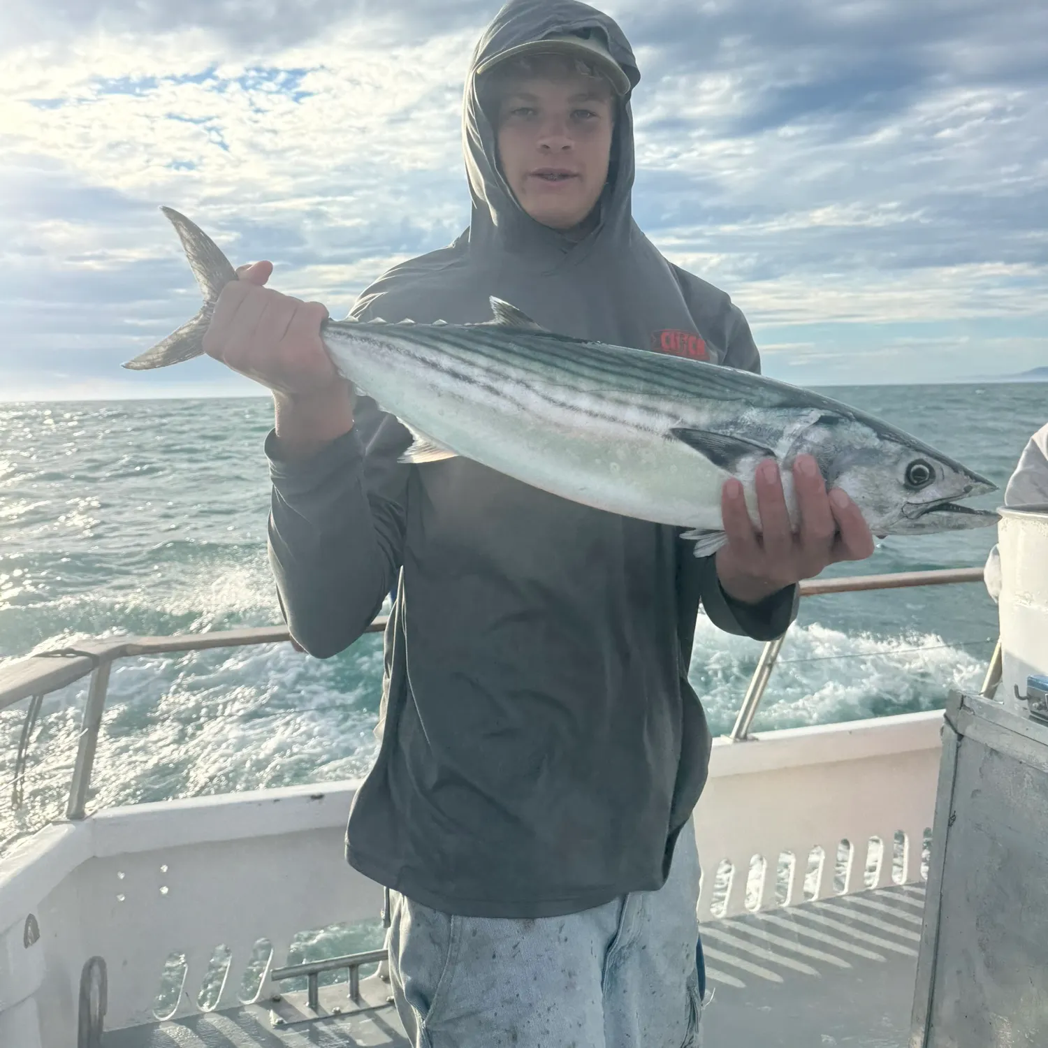 The most recent Pacific bonito catches on Fishbrain