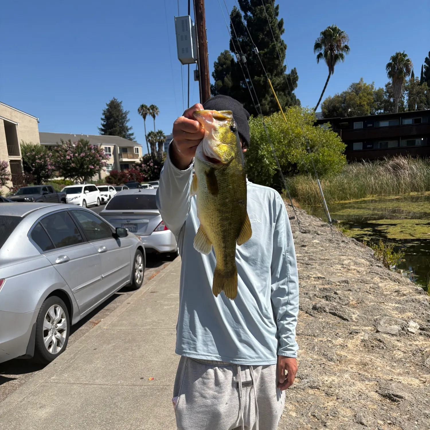 catch