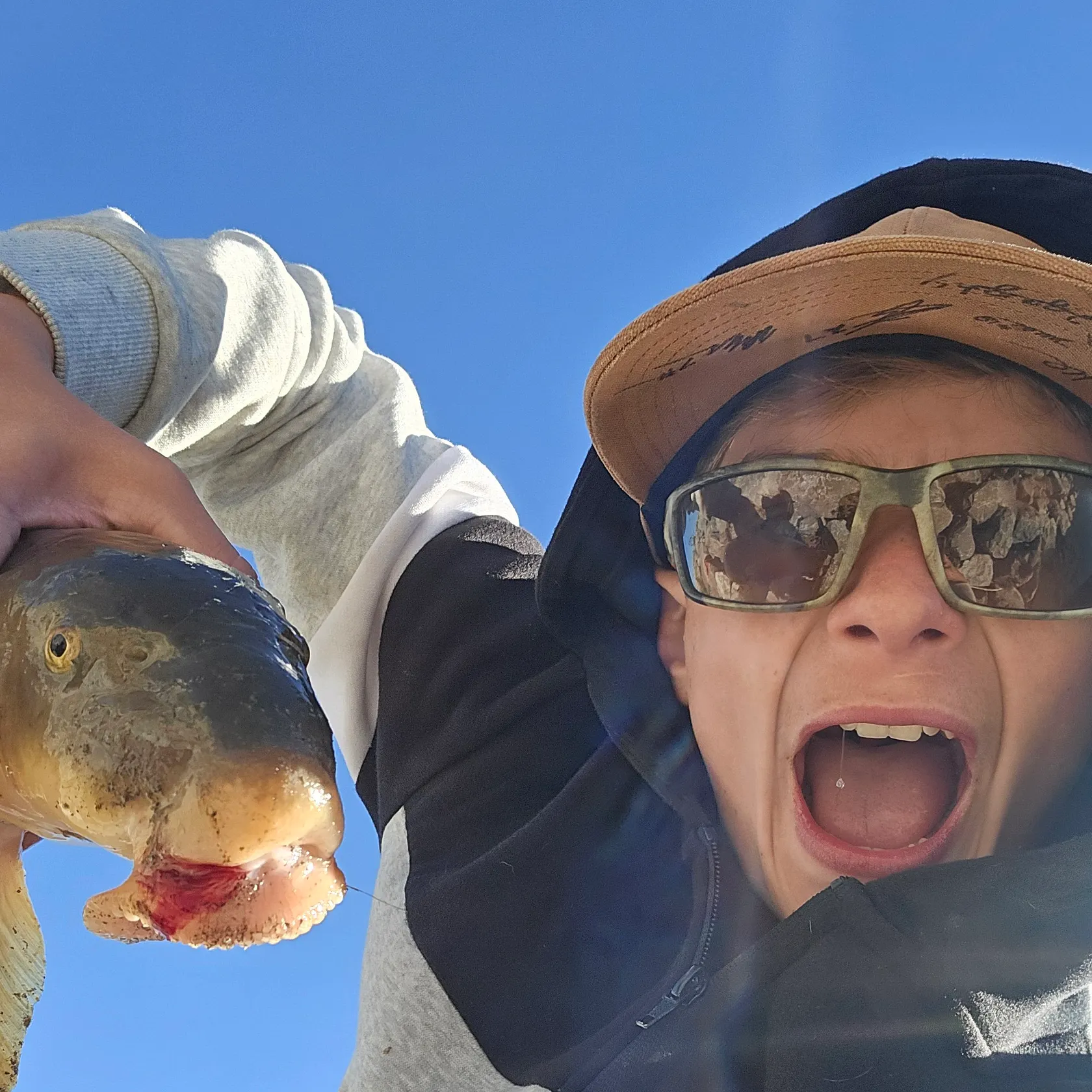 White sucker caught on Fishbrain