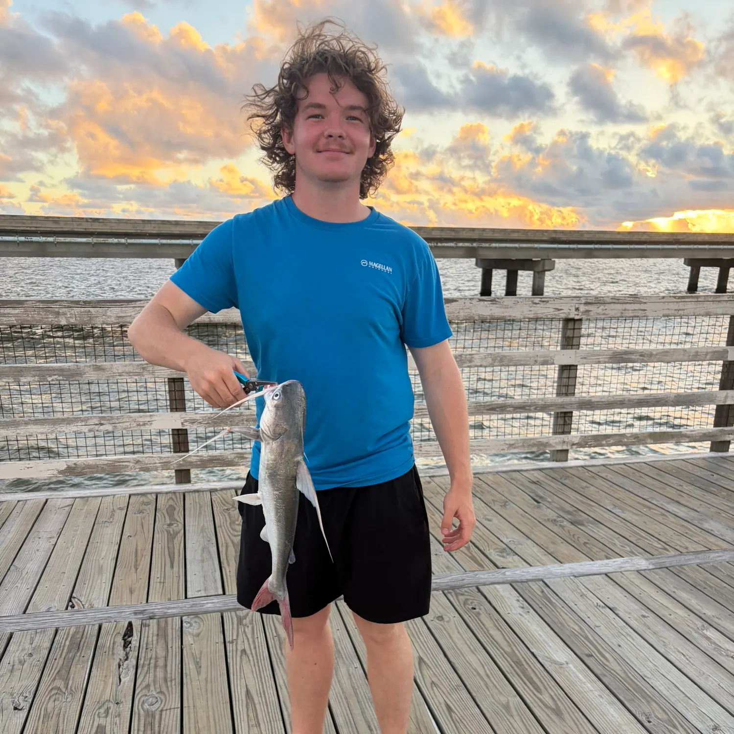 Gafftopsail sea catfish caught on Fishbrain