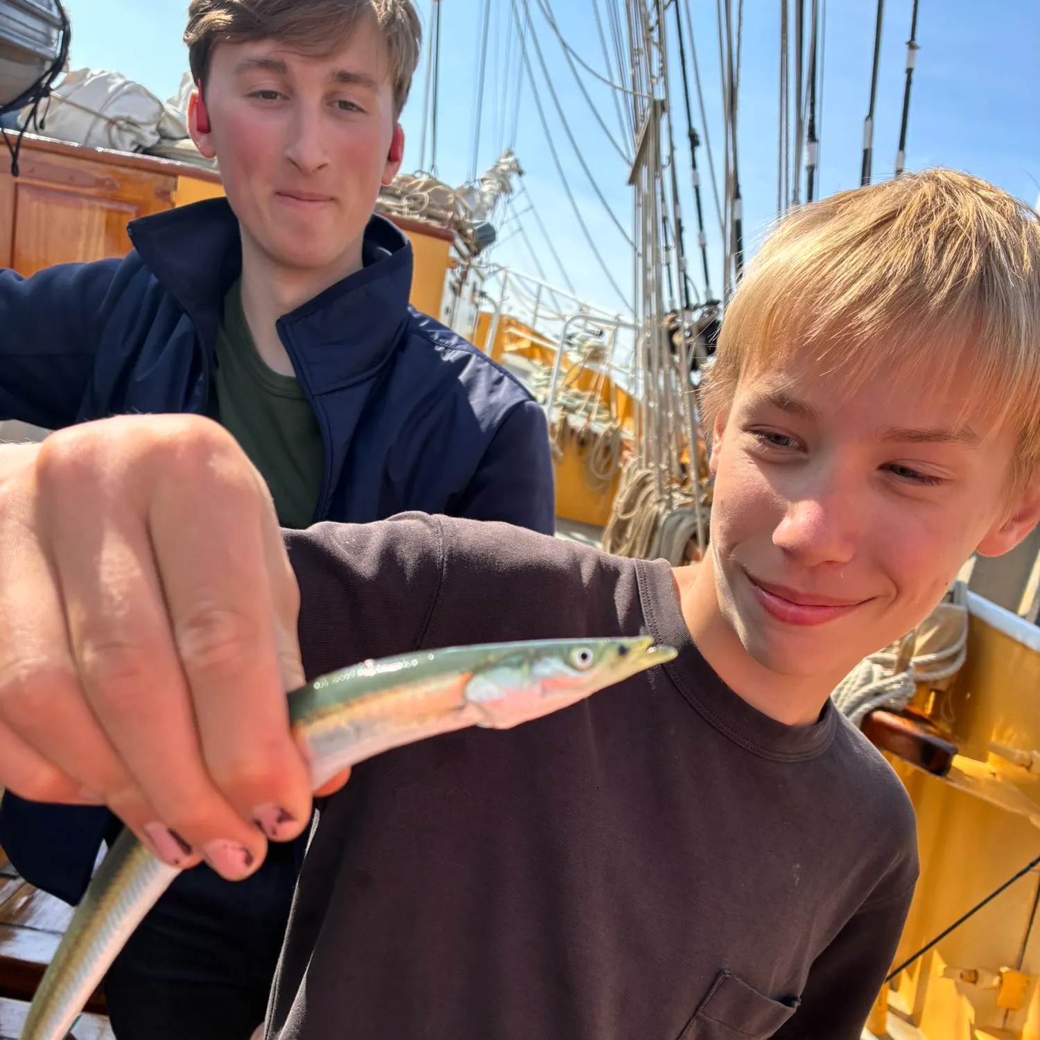 European garfish caught on Fishbrain