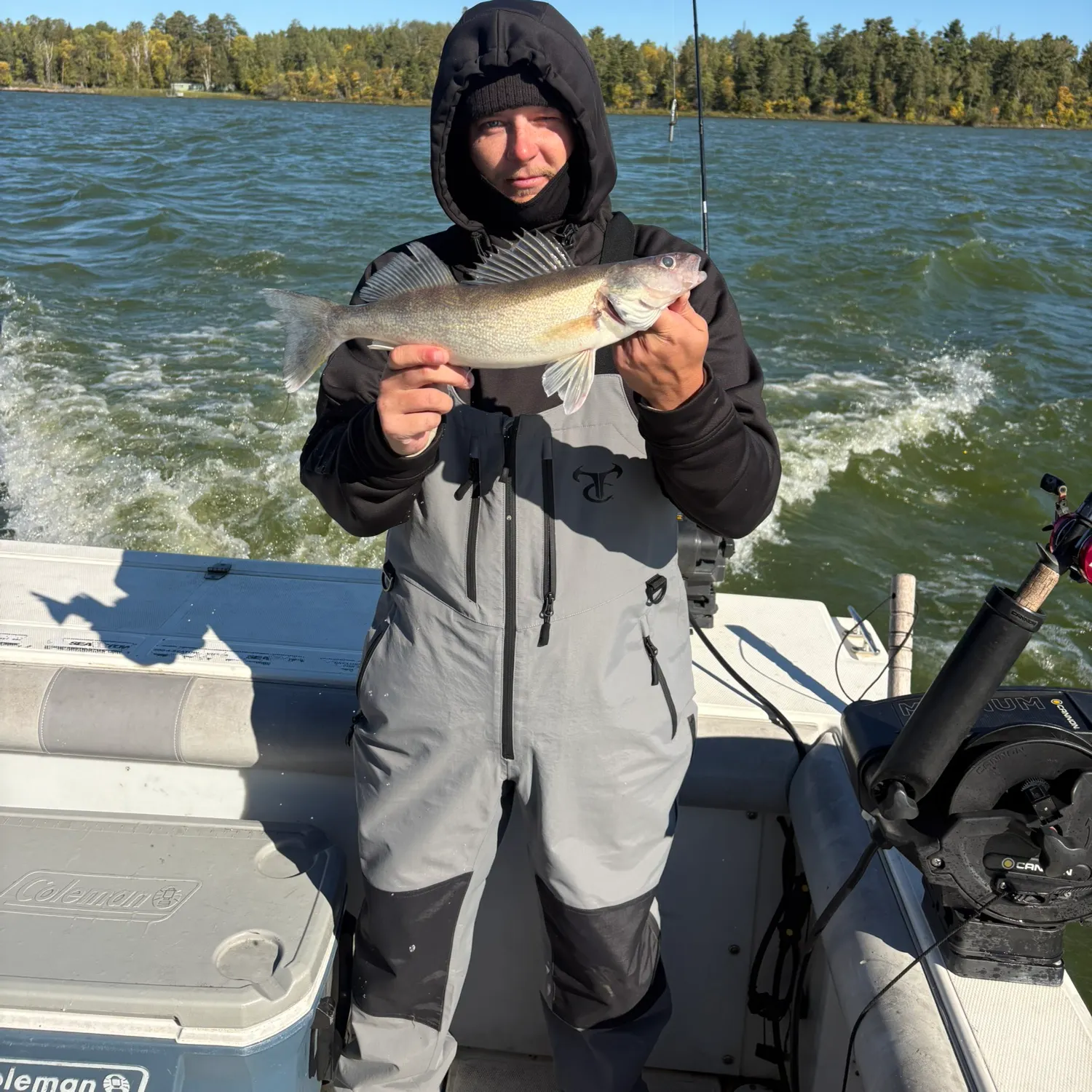 Walleye caught on Fishbrain