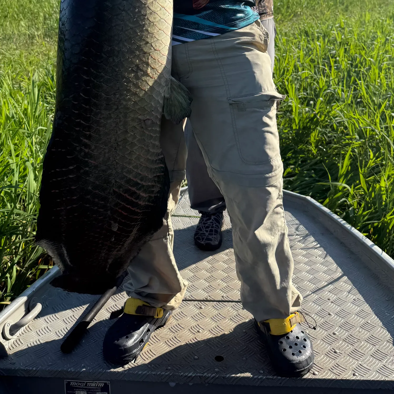 Arapaima caught on Fishbrain