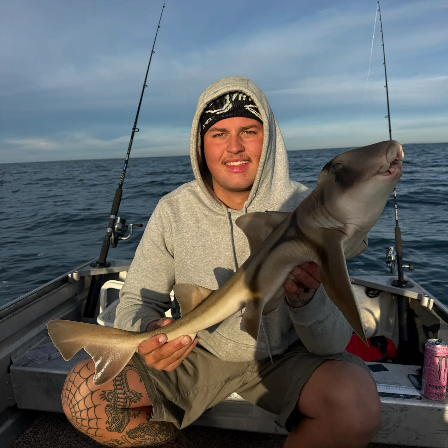 The most recent Port Jackson shark catches on Fishbrain