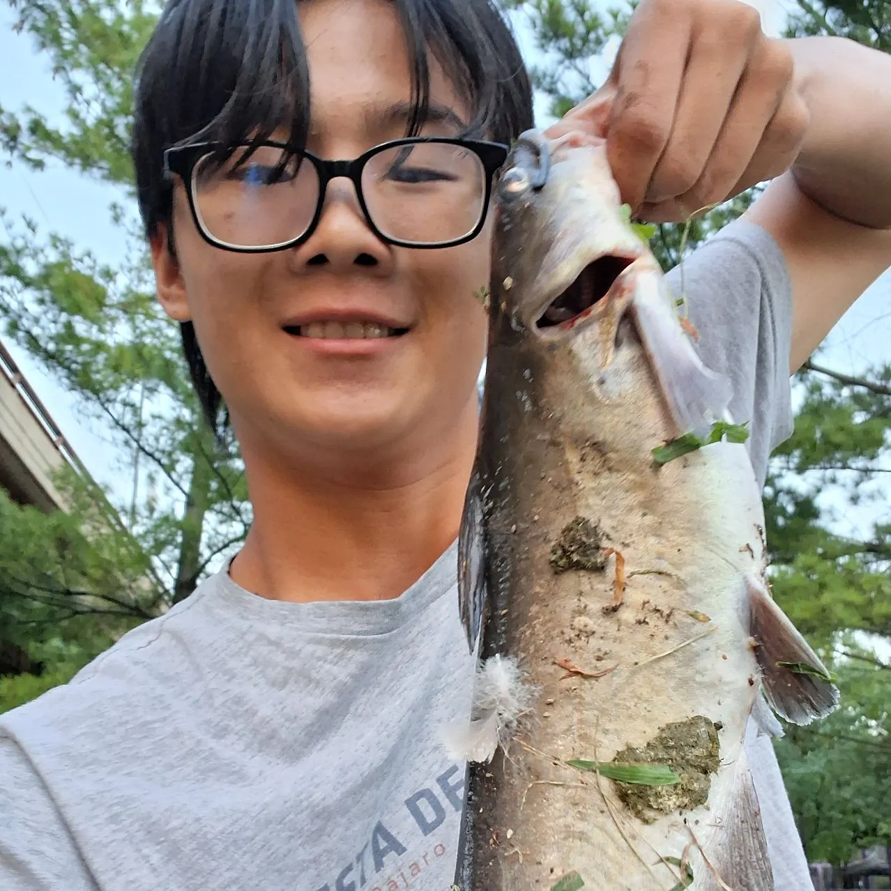 Channel catfish caught on Fishbrain