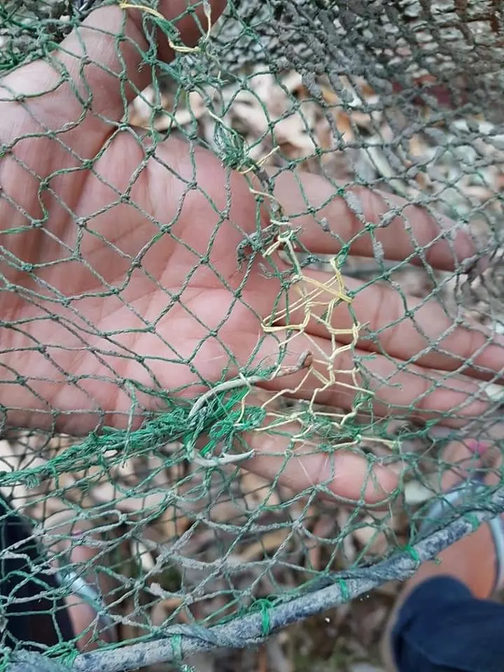 Post image from I.can.fish