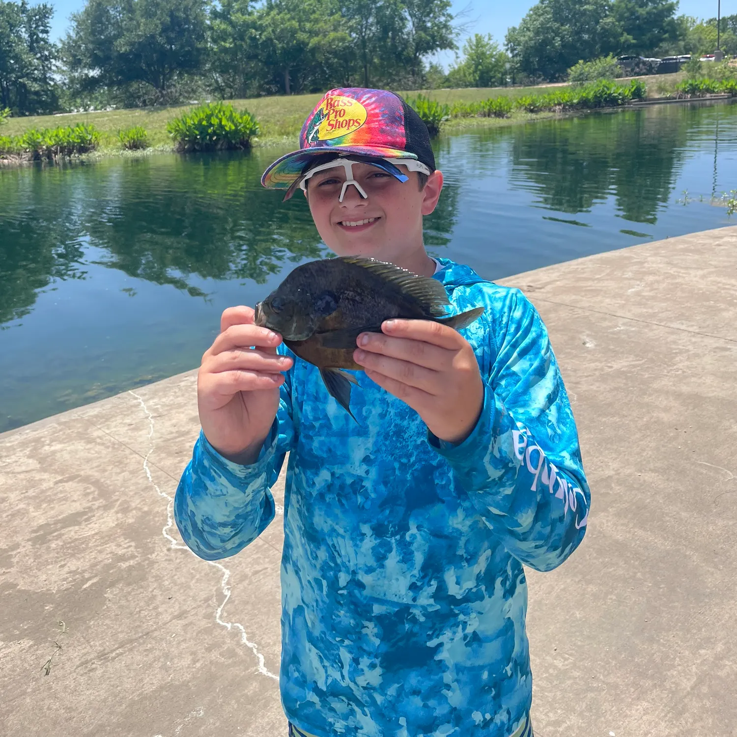 The most recent Coppernose bluegill catches on Fishbrain