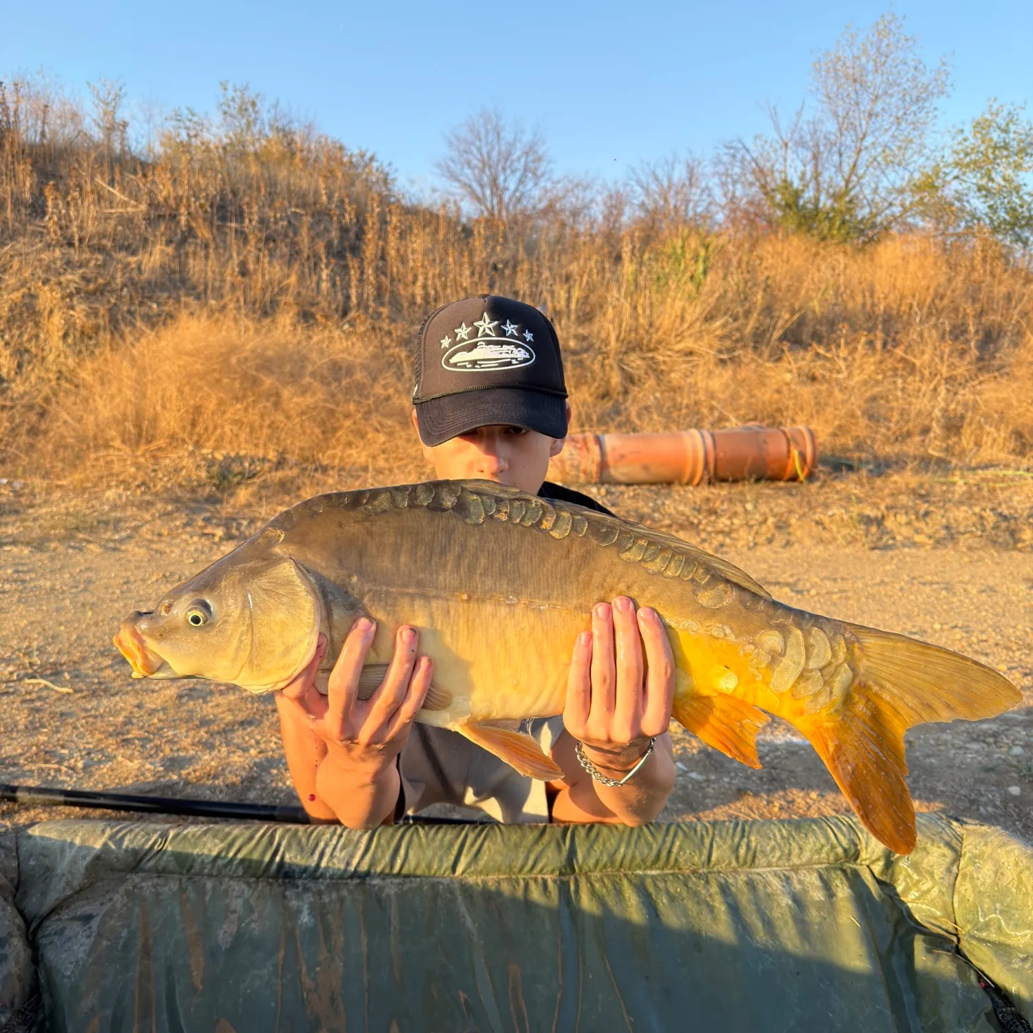 Leather carp caught on Fishbrain