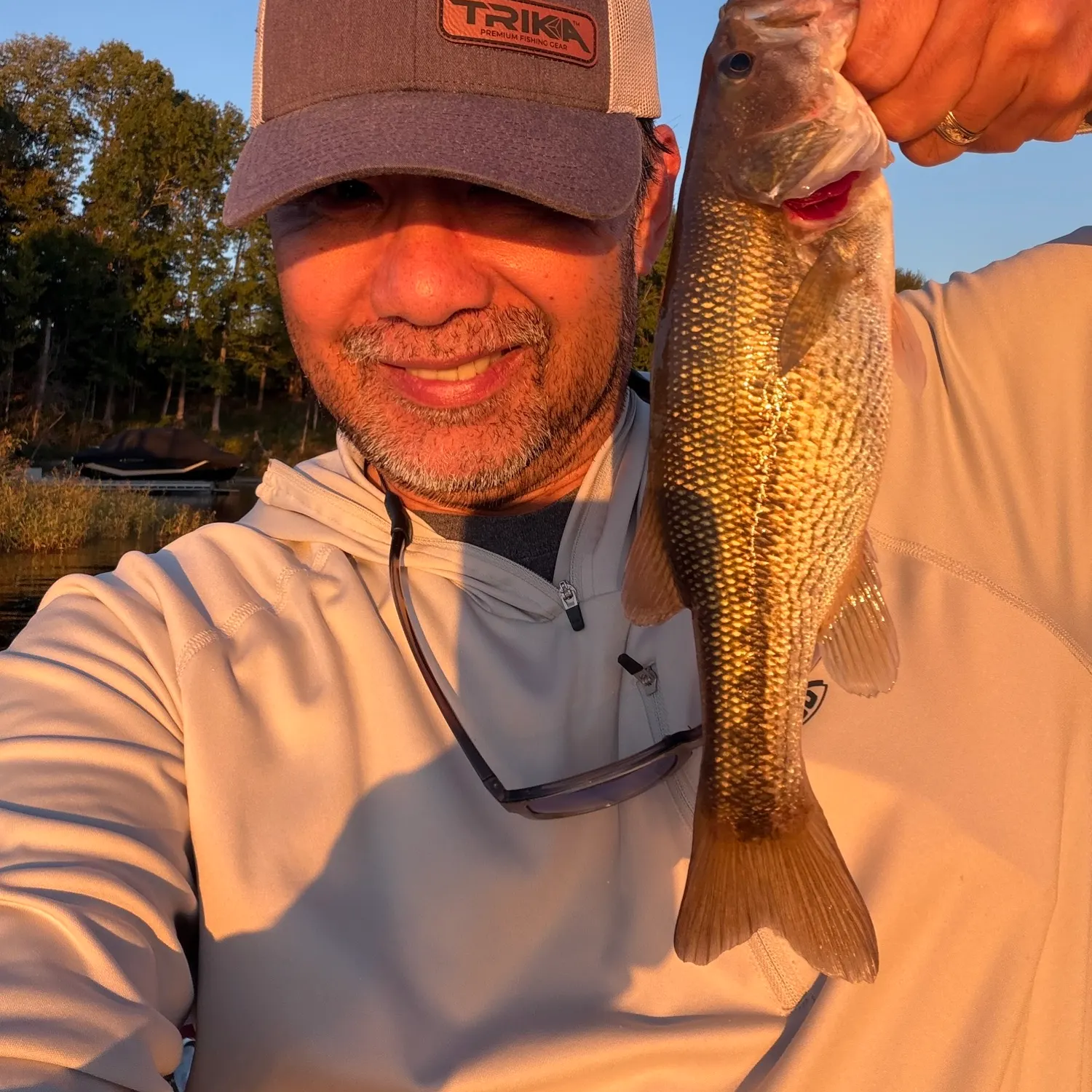 Spotted bass caught on Fishbrain