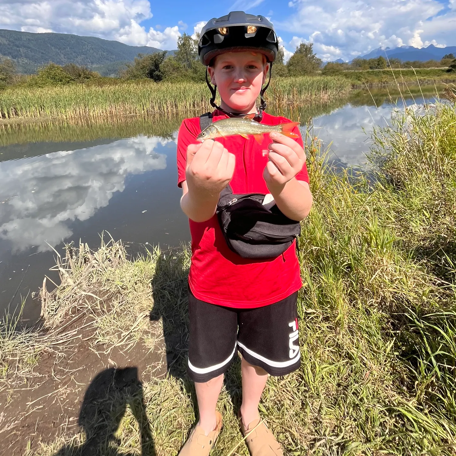 Northern pikeminnow caught on Fishbrain