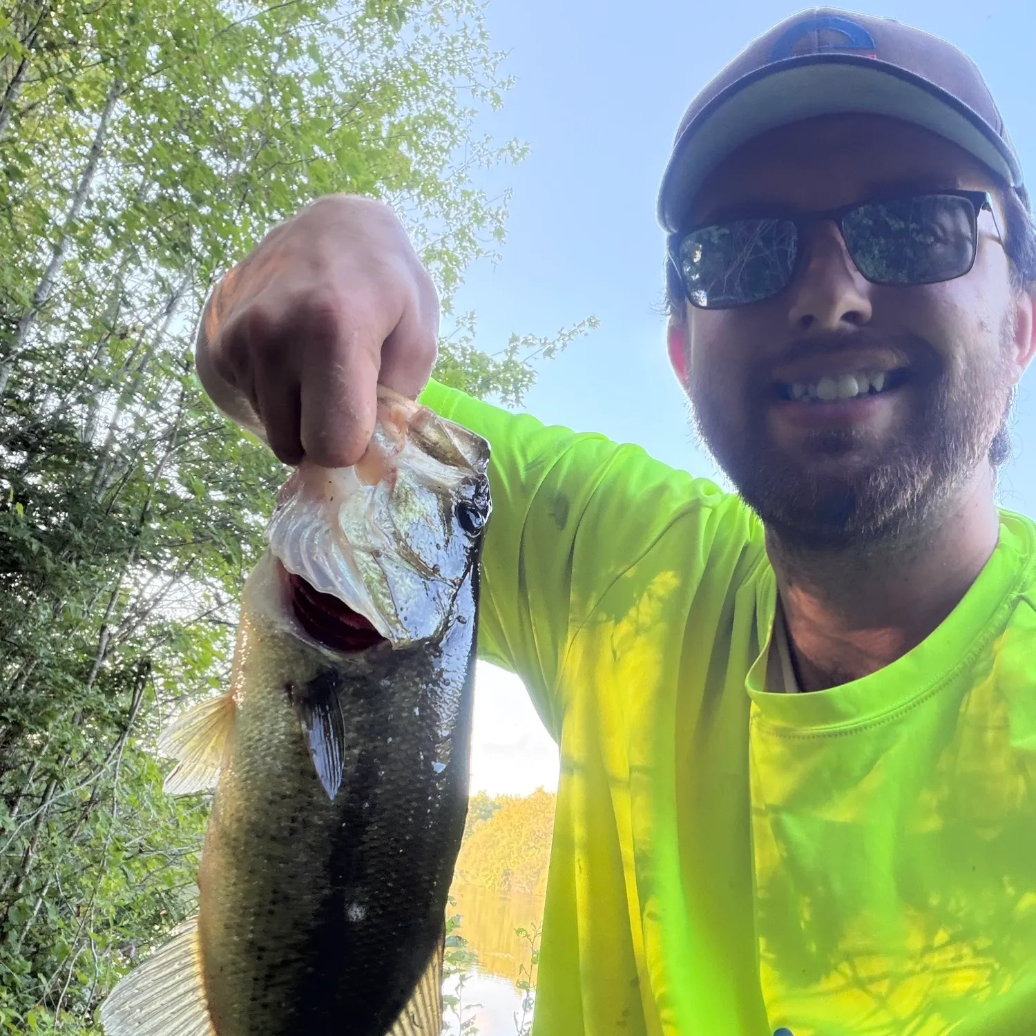 Largemouth bass caught on Fishbrain