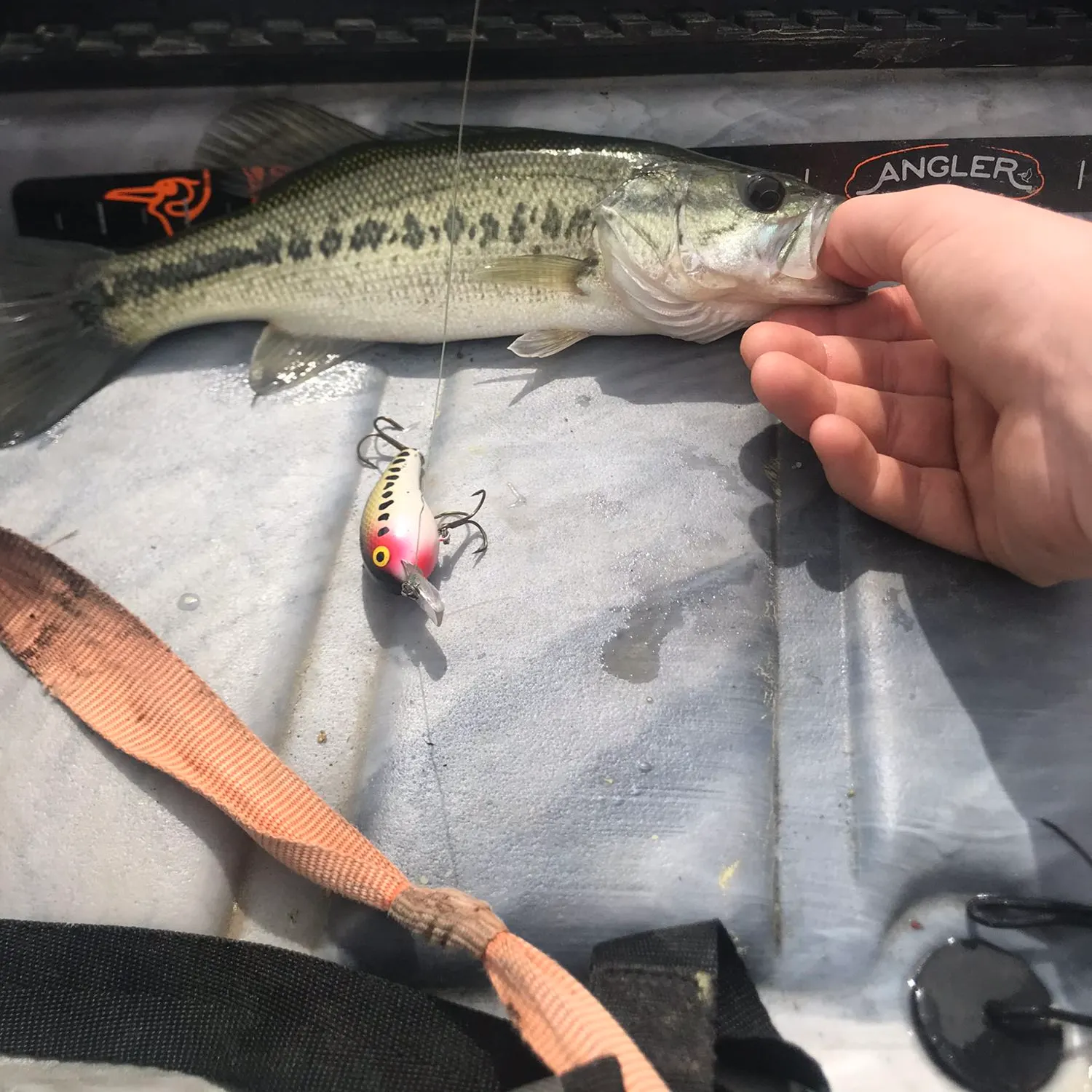 angler catch